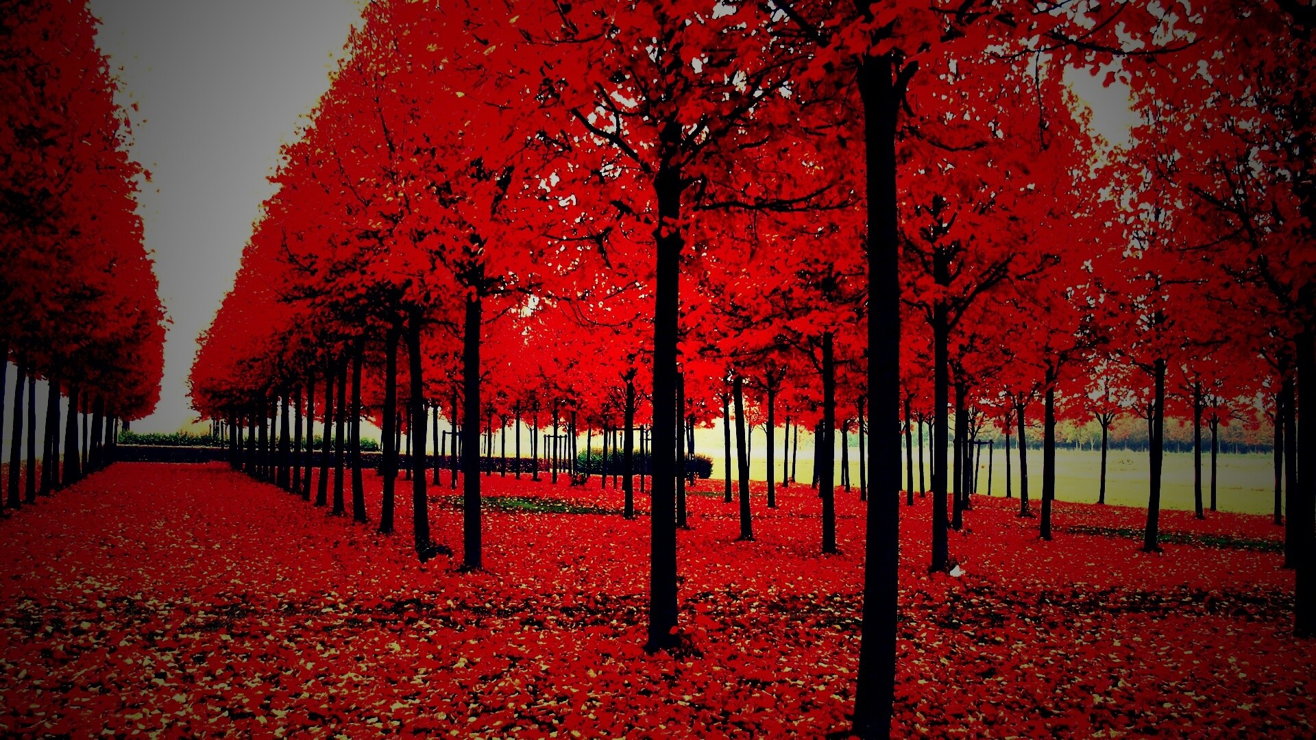 Скачать бесплатно осень обои