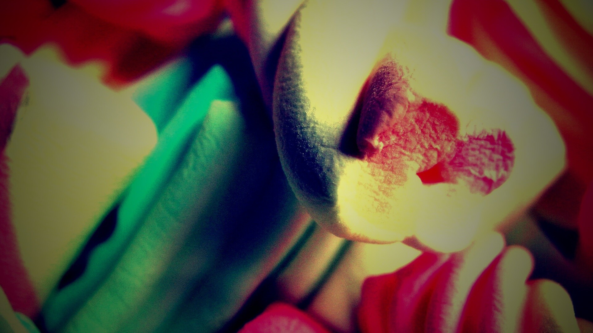 Кручёный зефир обои