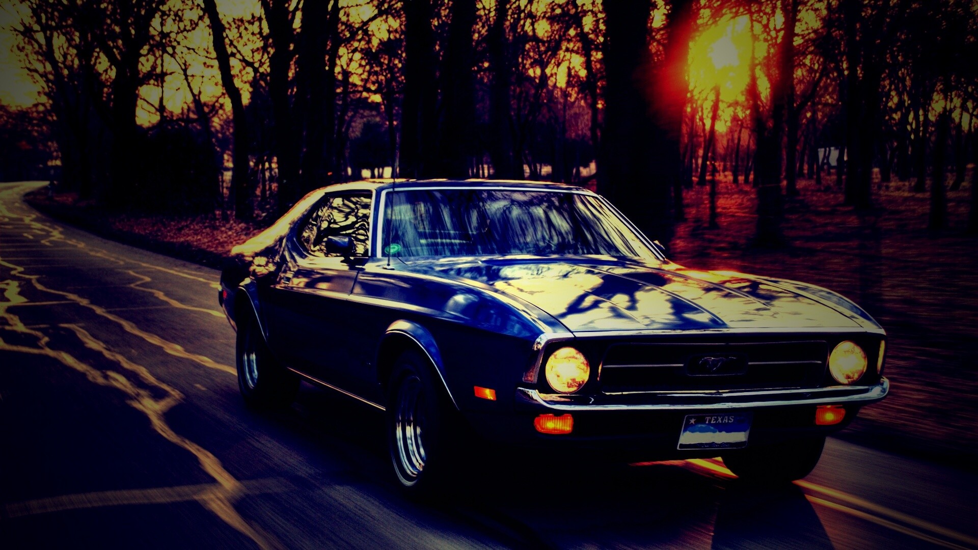 Мустанг обои