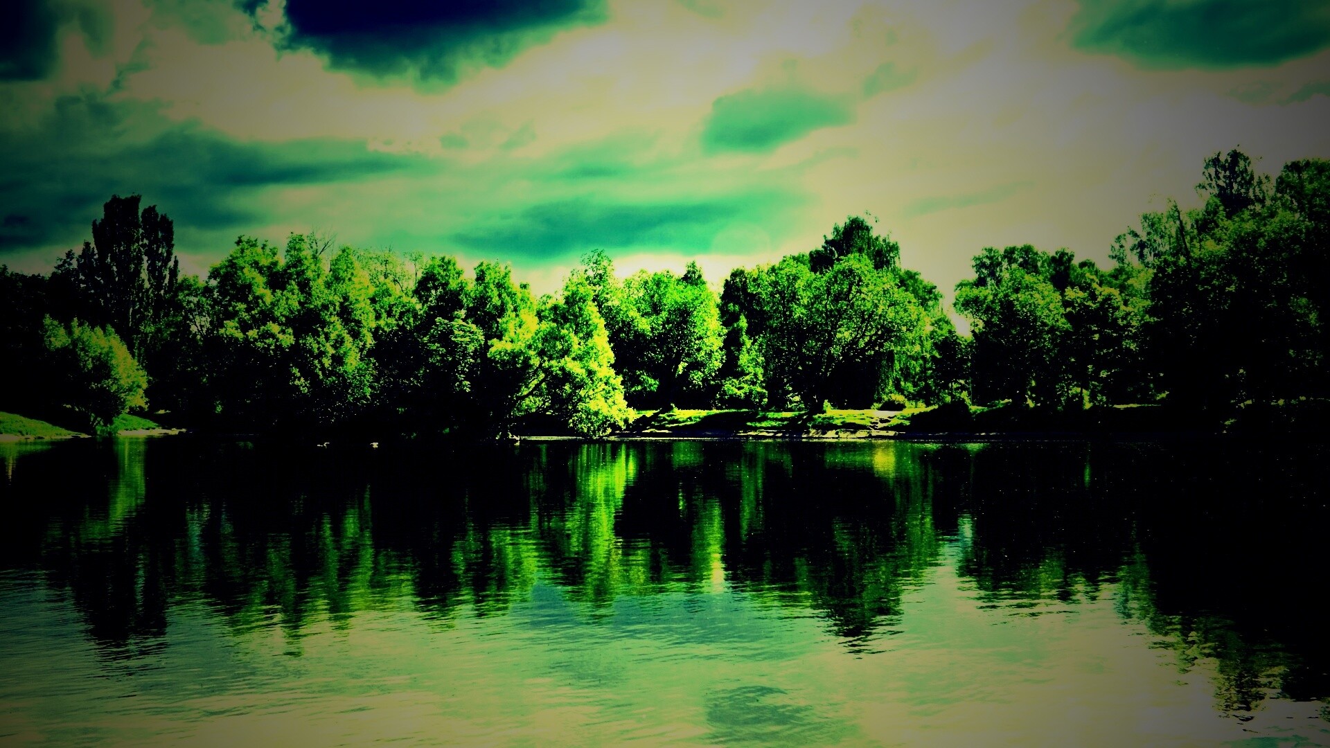 Деревья на берегу озера обои