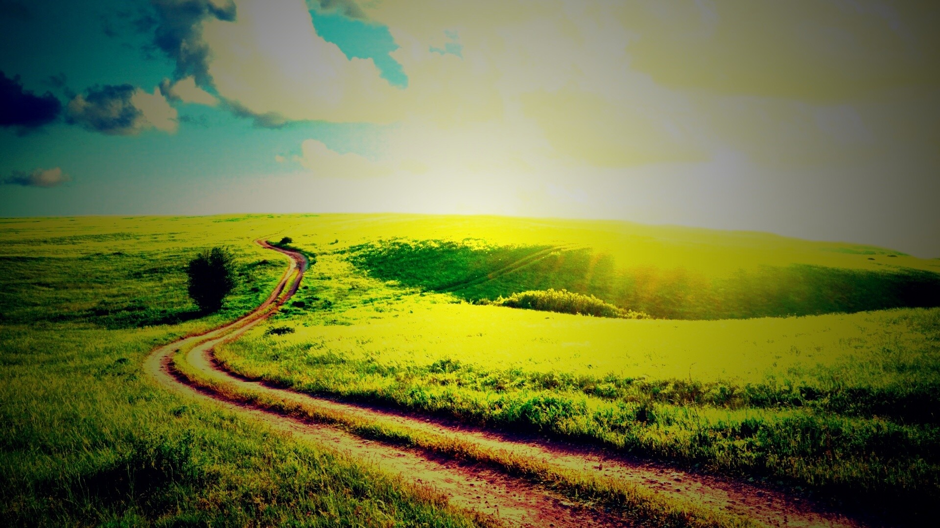 Дорога через луг обои