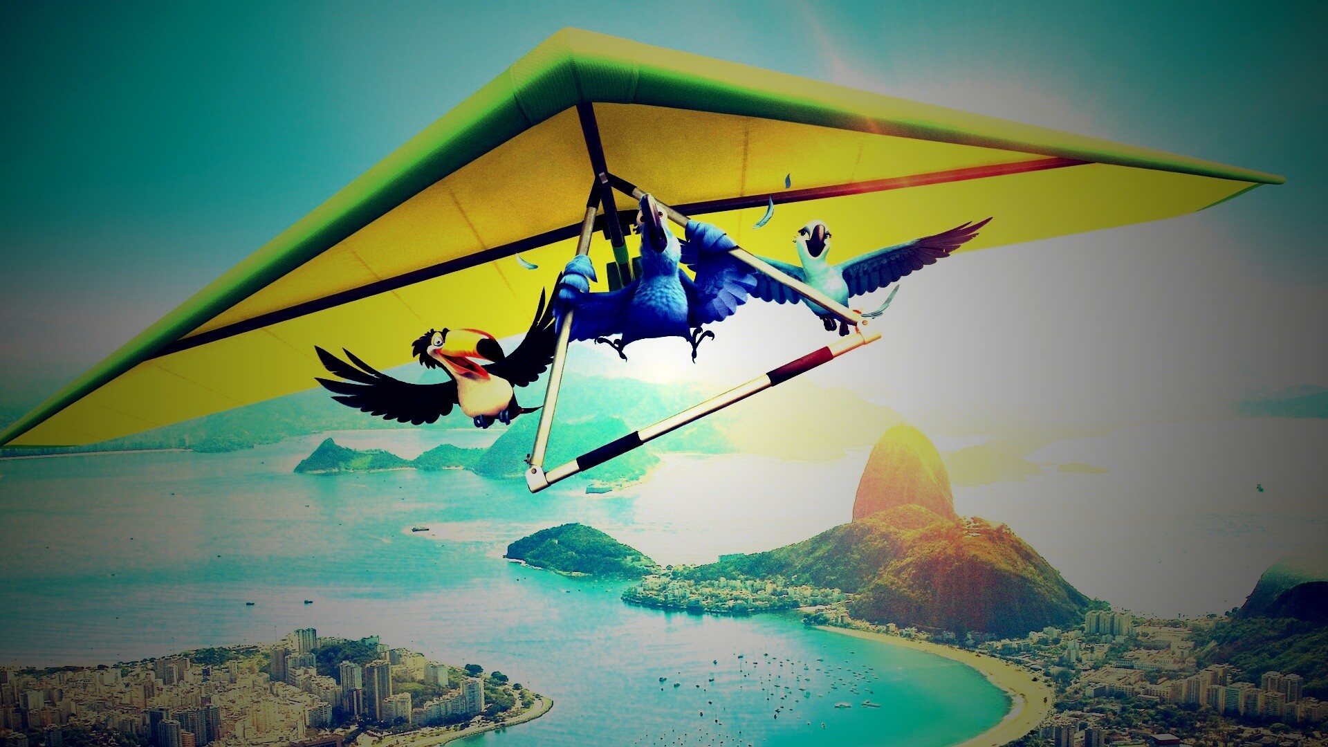 Герои мультфильма Рио обои