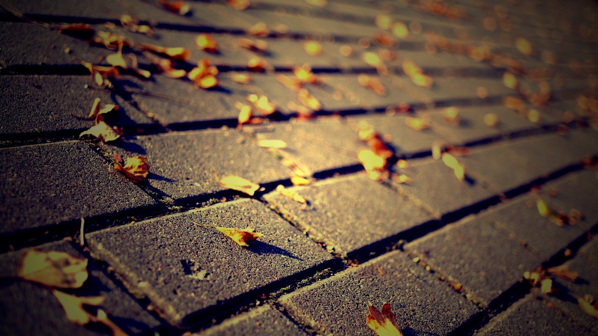 Тротуар обои