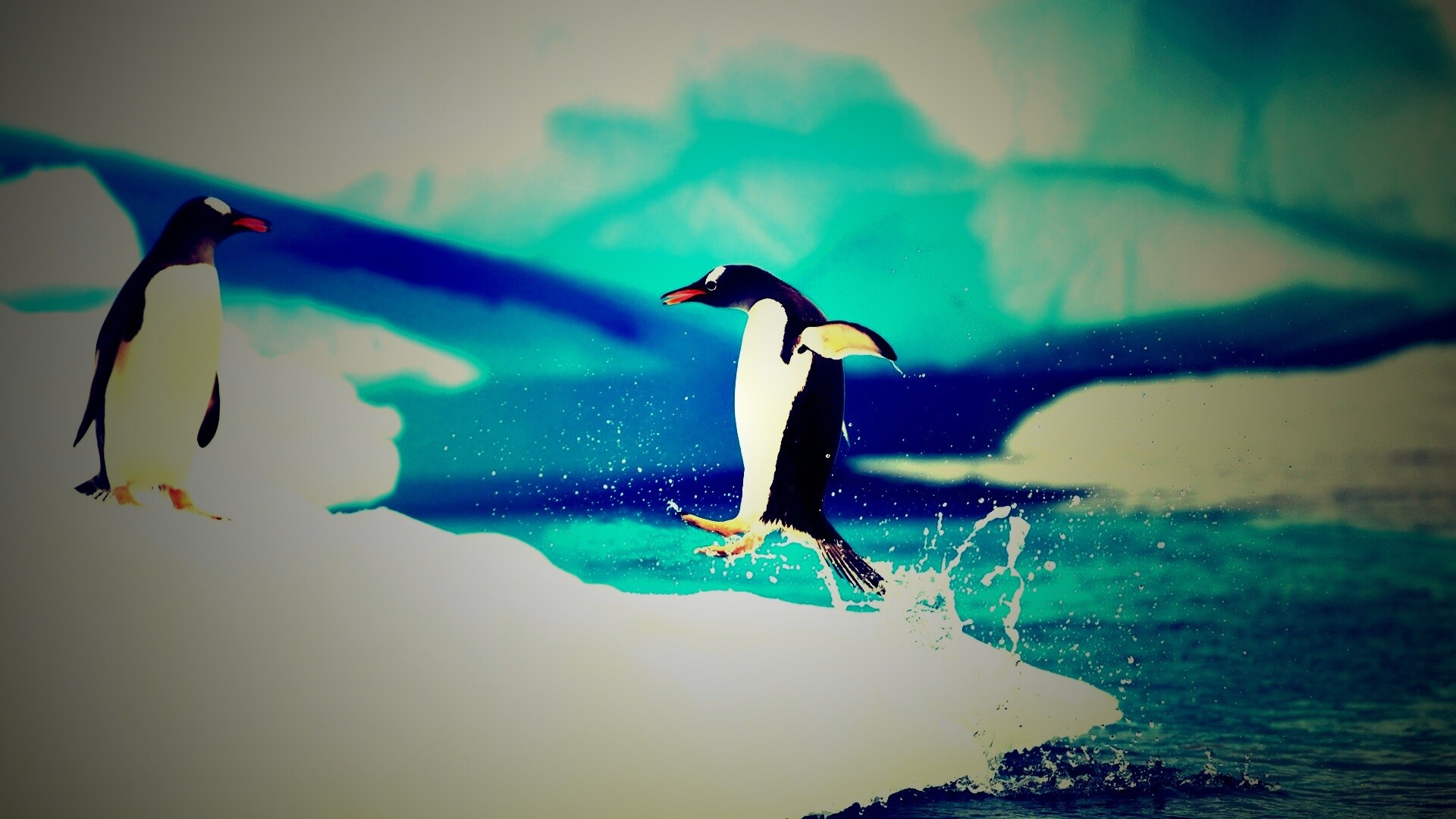 Пигвин запрыгивает на льдину обои
