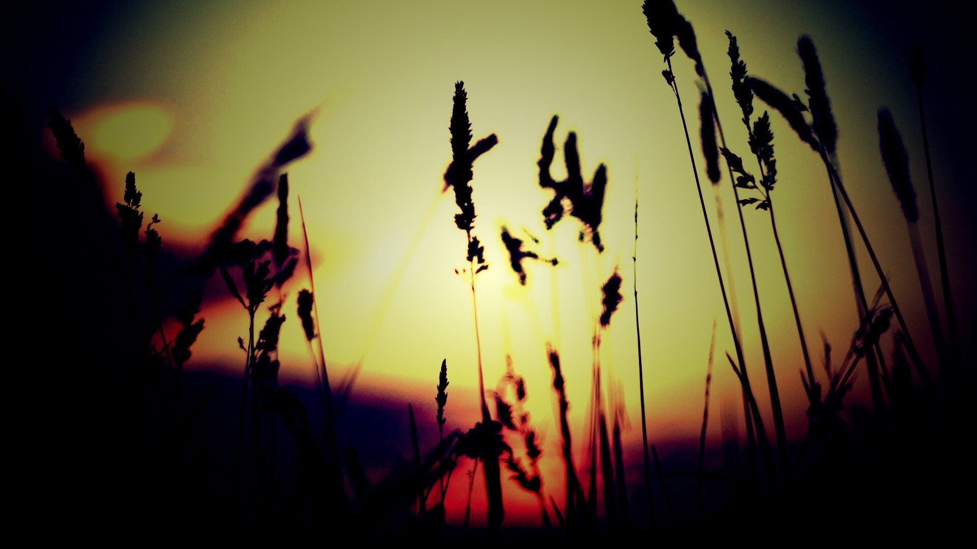 Дыхание природы обои