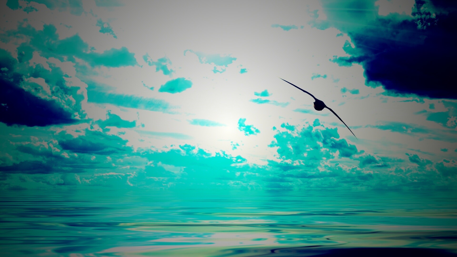 Лети как птица над волнами обои