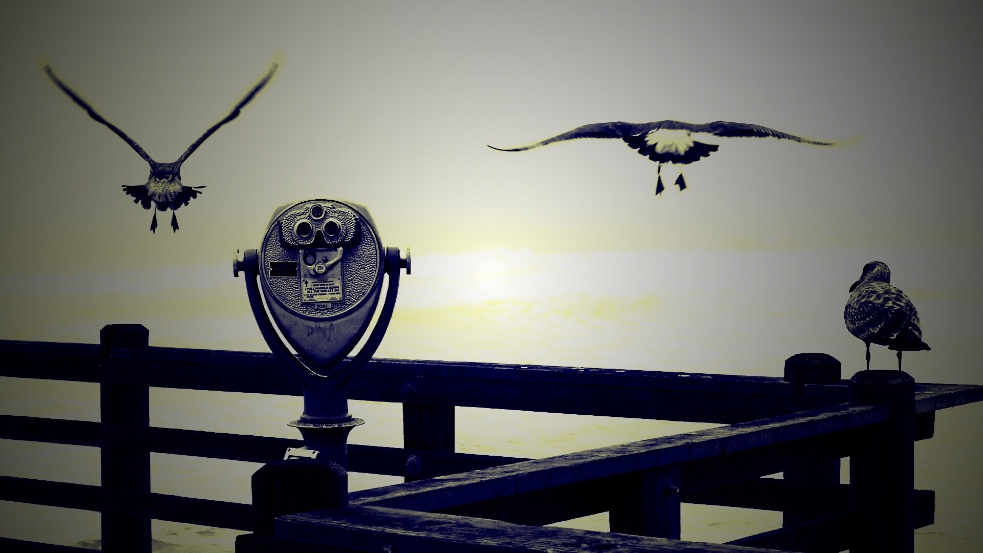 Чайки на перилах пирса обои