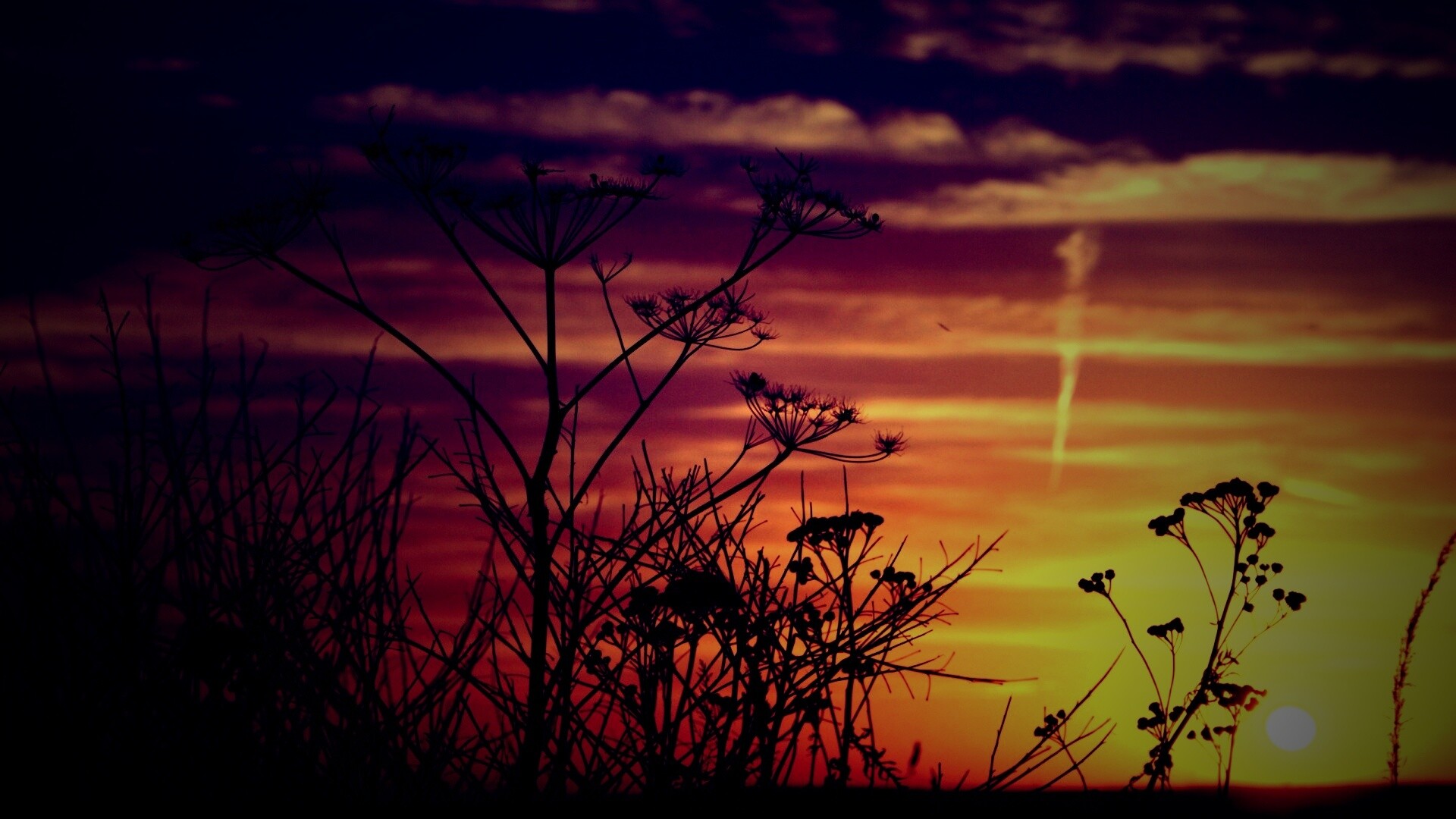 Степной закат обои