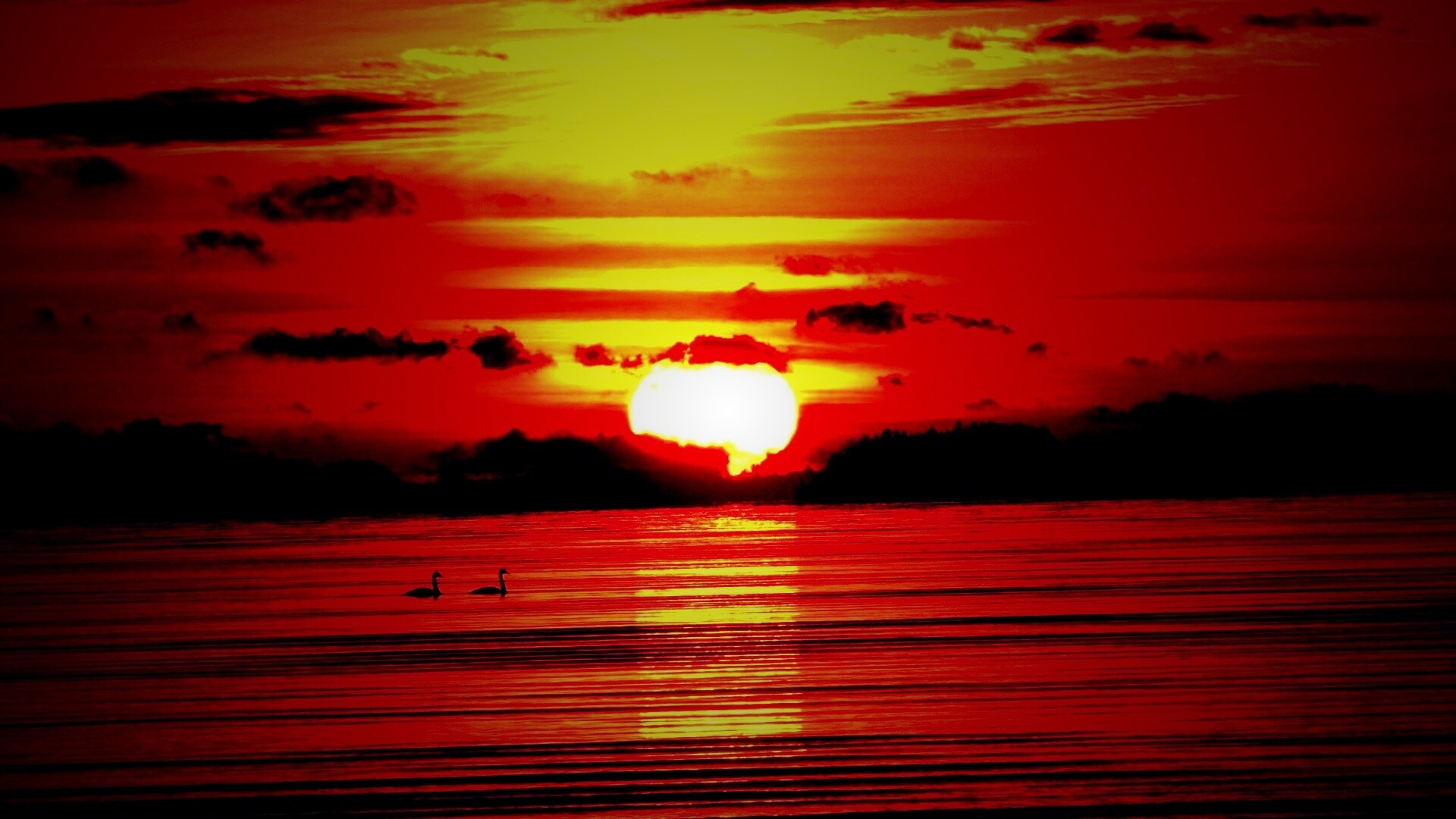 Великолепный рассвет обои