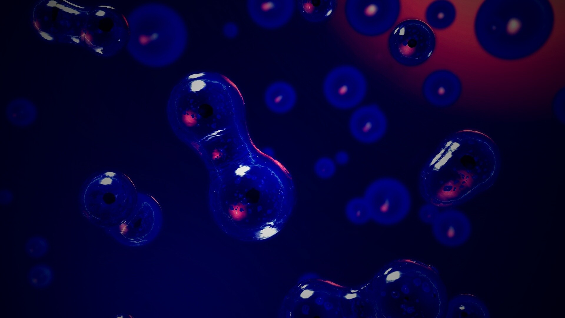 Деление обои