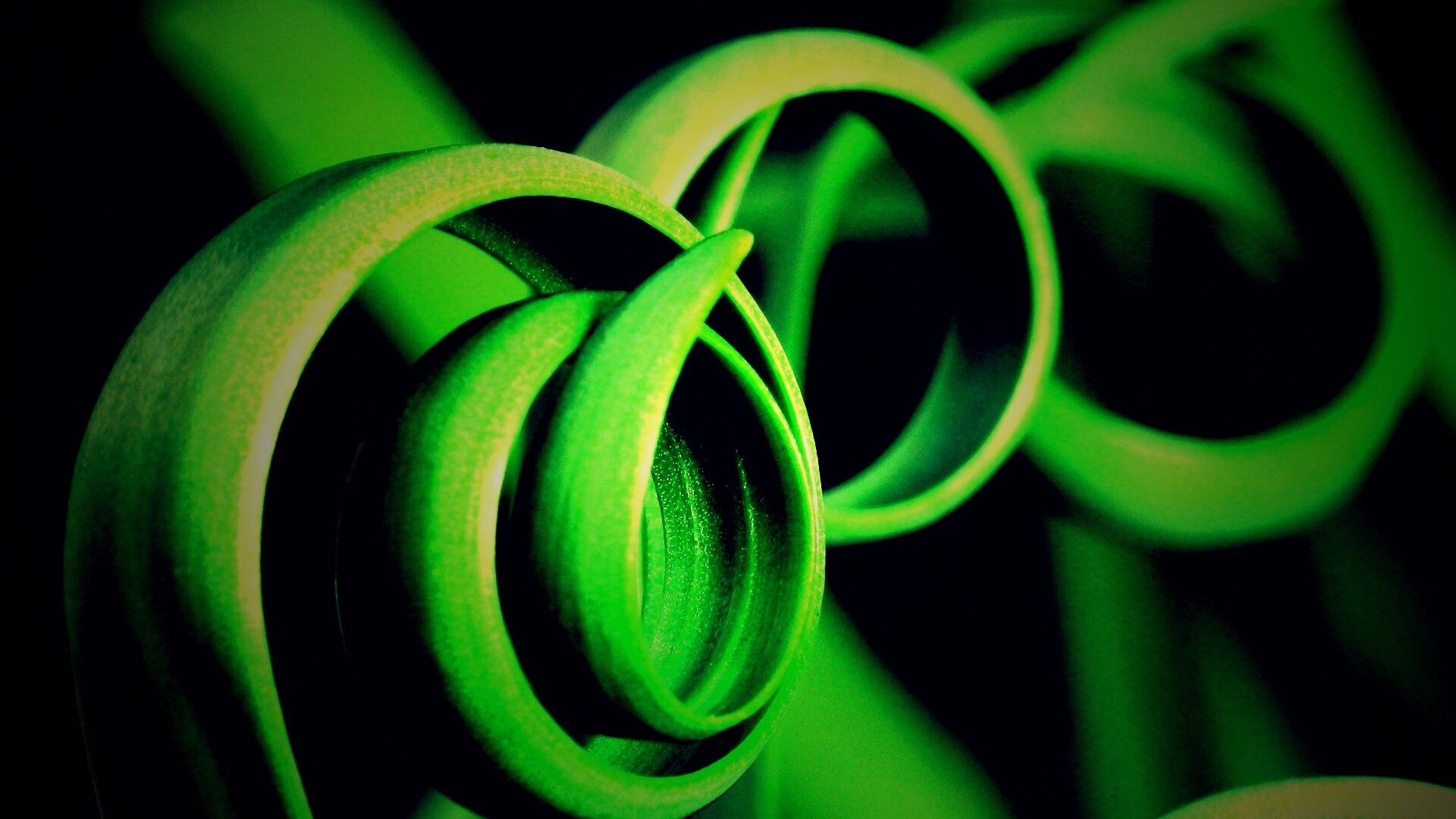 Зеленый обруч обои