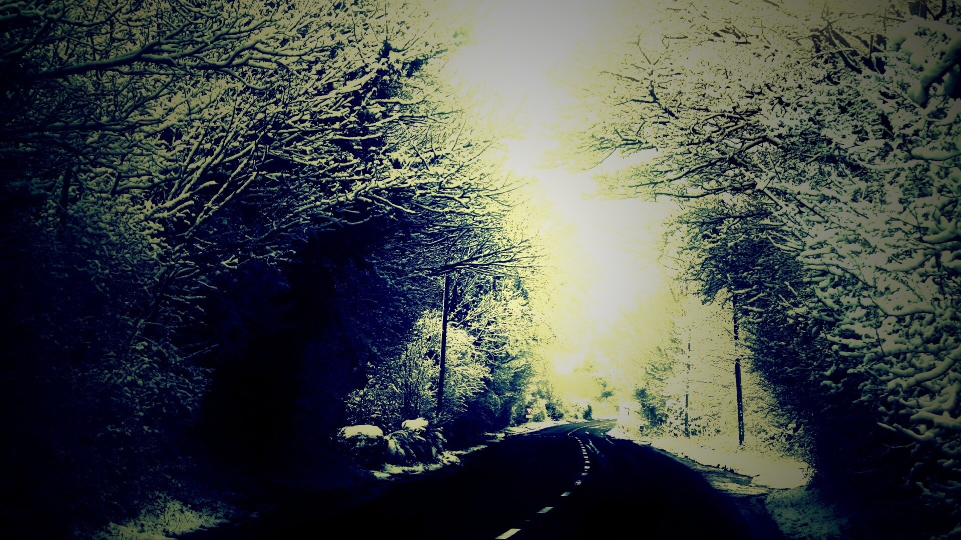 Дорога через зимний лес обои