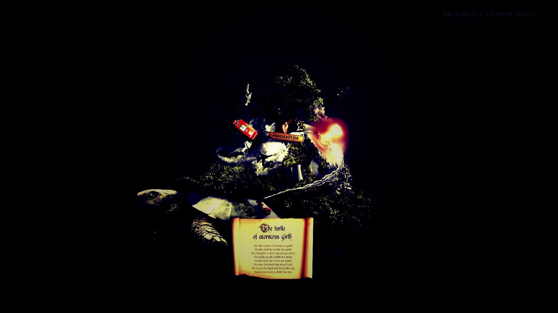 Огромная в обхвате черепаха обои
