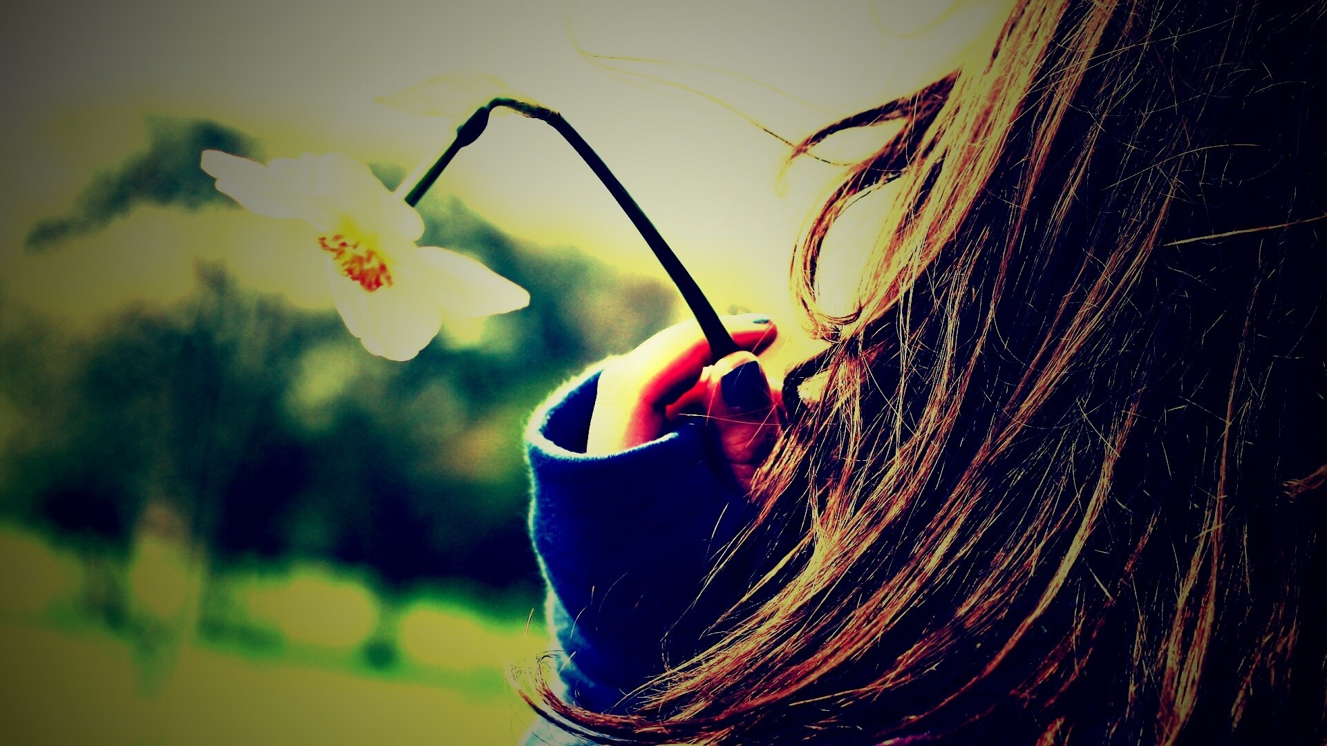 Девушка с нарциссом в руке обои