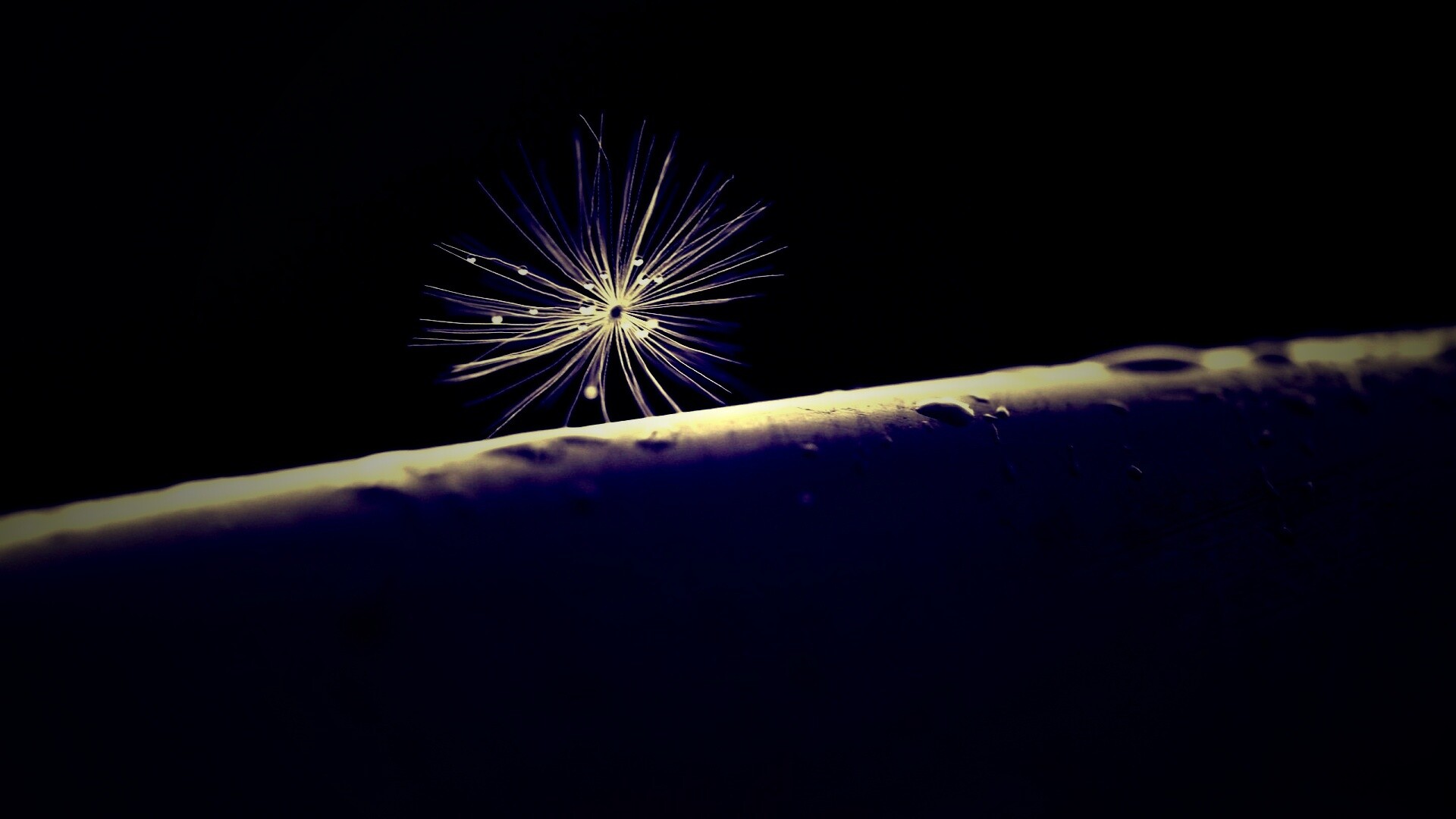 Прилипшая пушинка обои