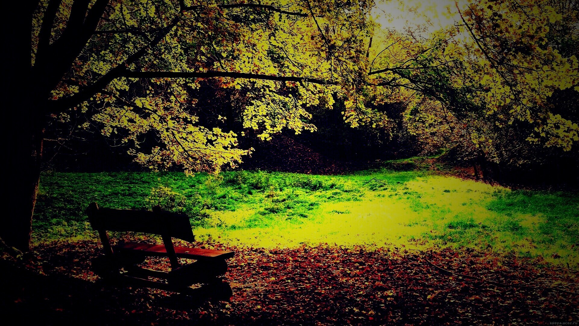 Скамейка под деревом обои