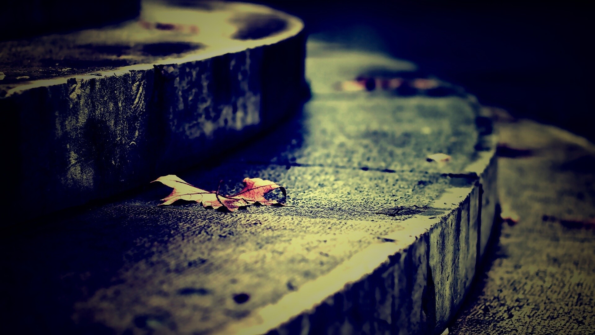 Лист на ступеньках обои