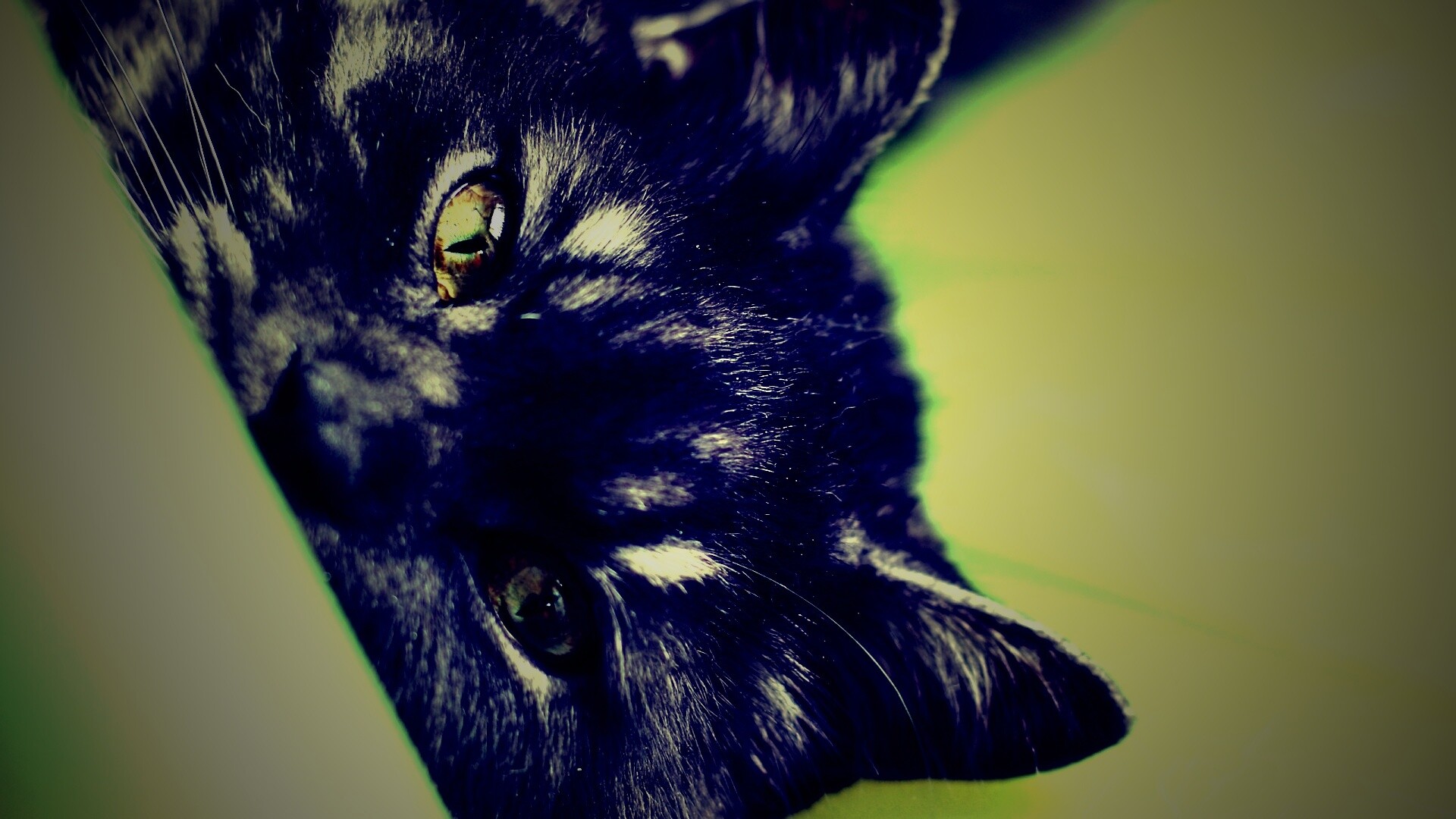 Глаза и уши обои