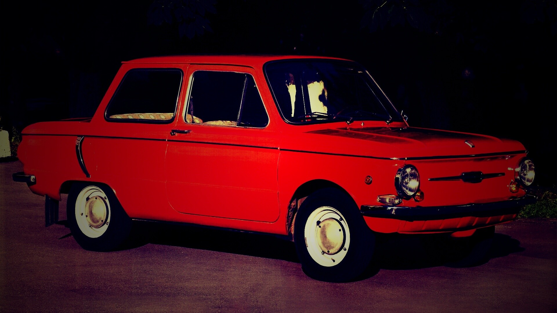 Оранжевый ушастый запорожец обои