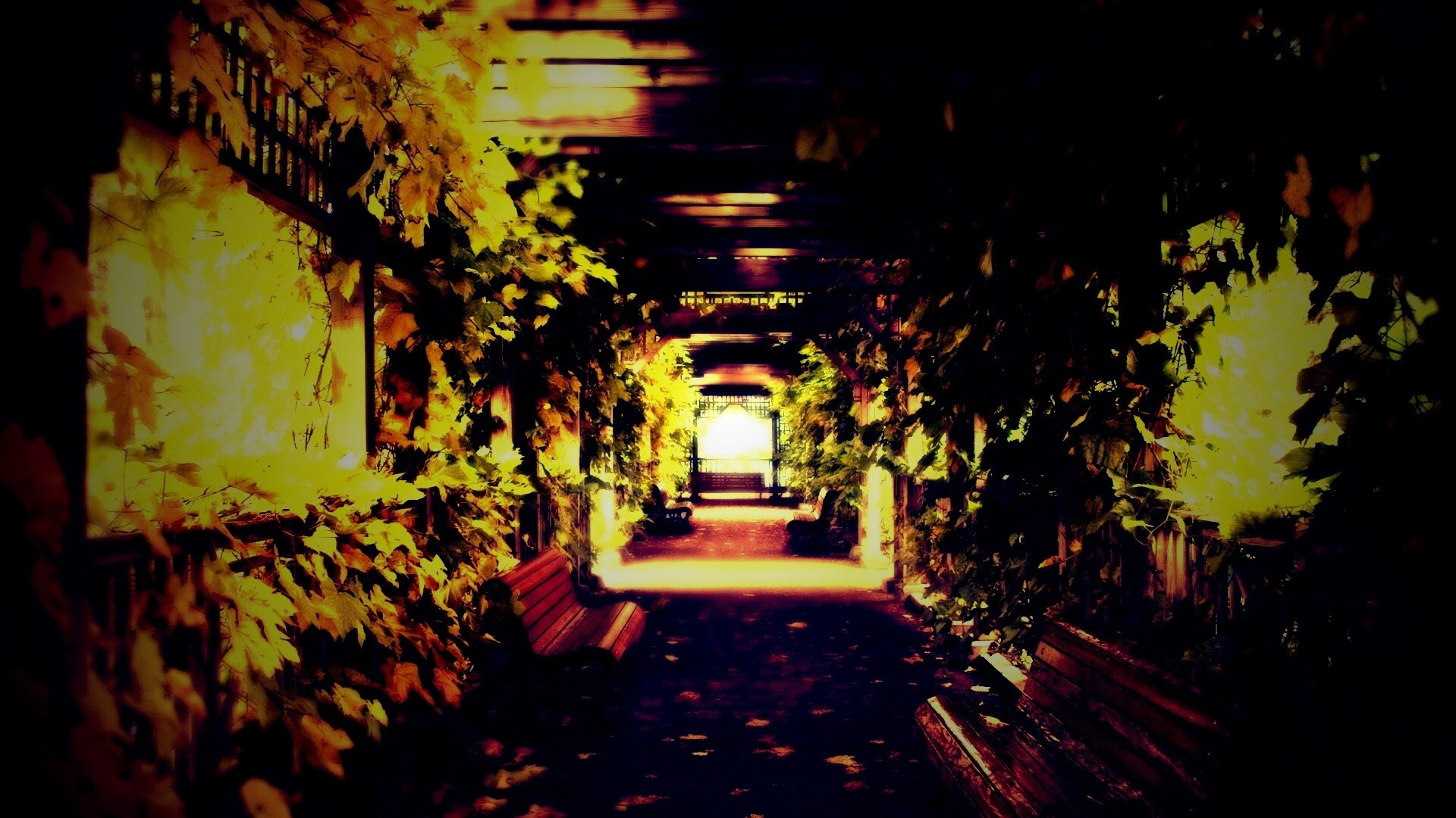 Узкая аллейка обои