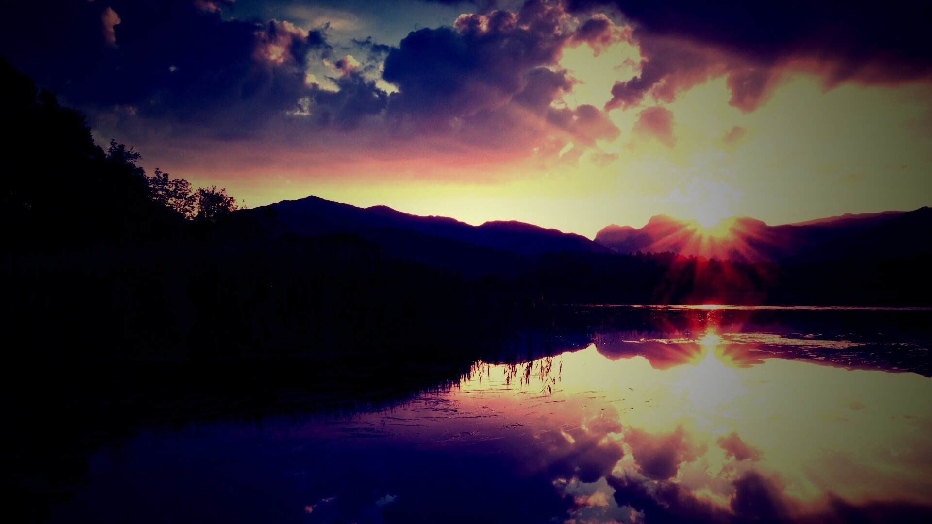 Закат за лесом обои