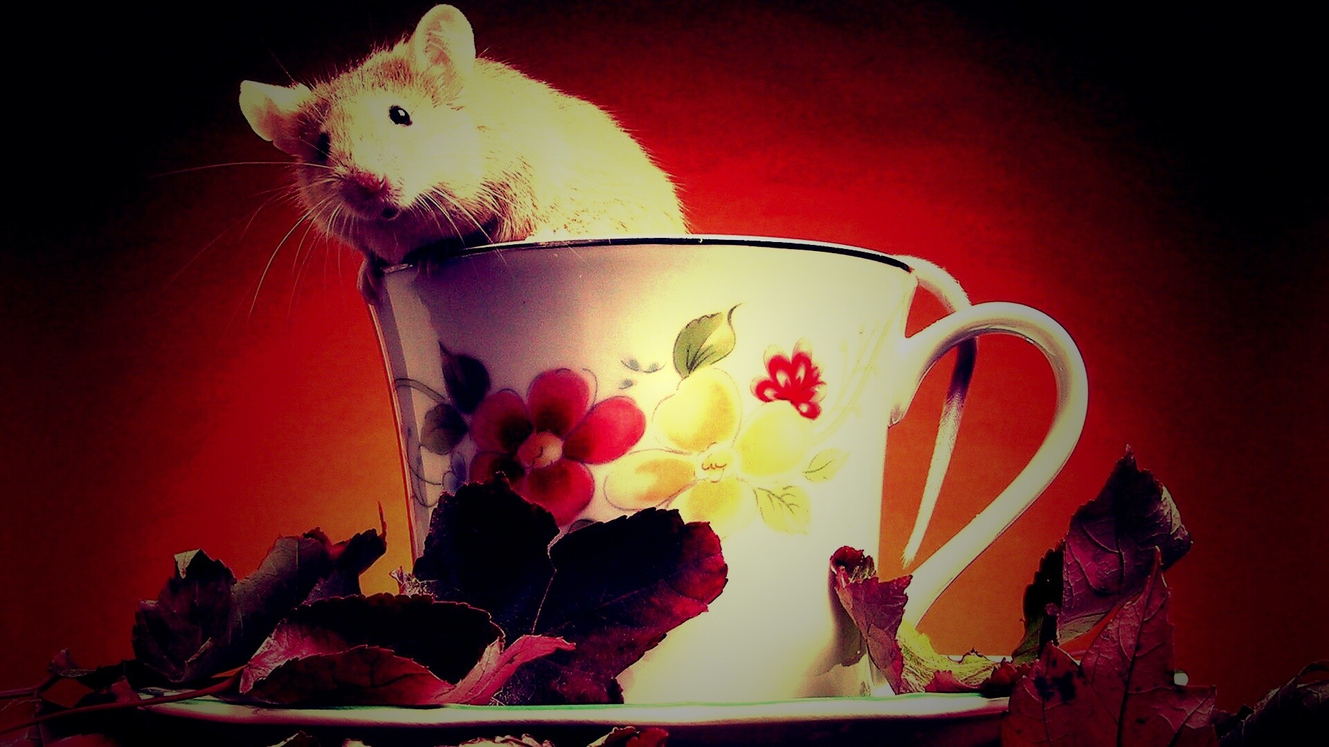 Мышонок выбирается из чашки обои