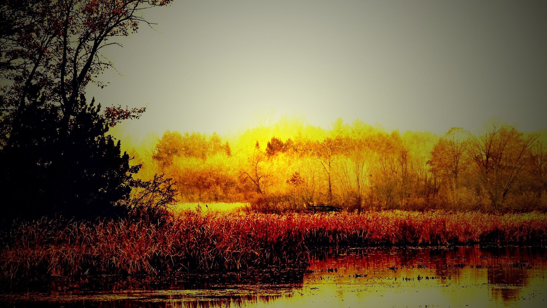 Живописные болота обои