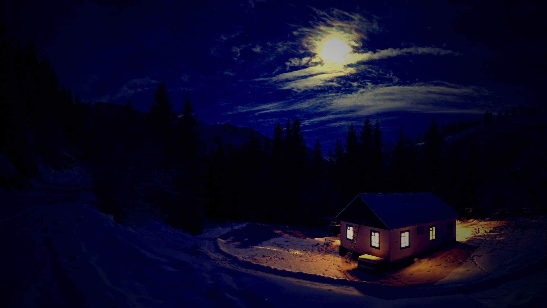 Один в зимнем лесу обои