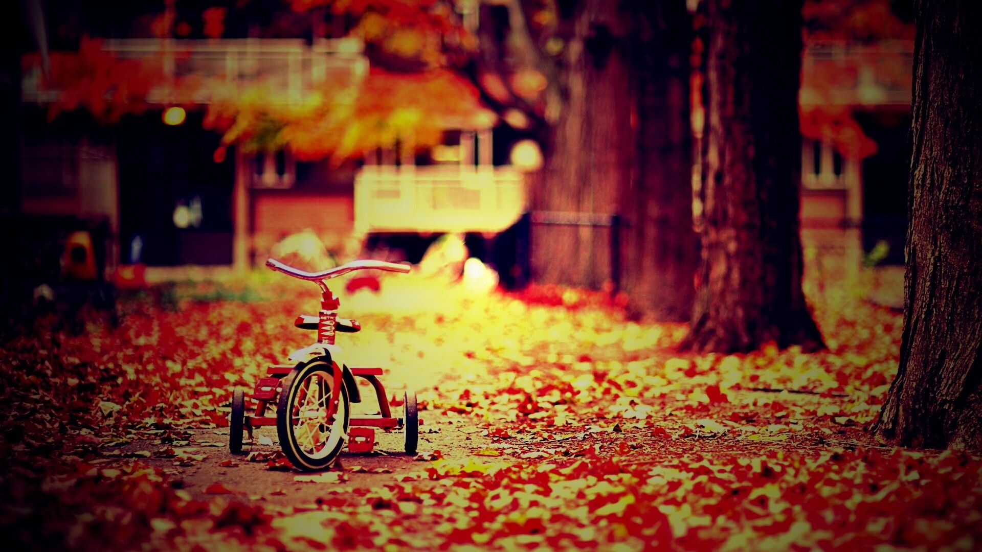 Трёхколёсный друг на осенней дорожке обои
