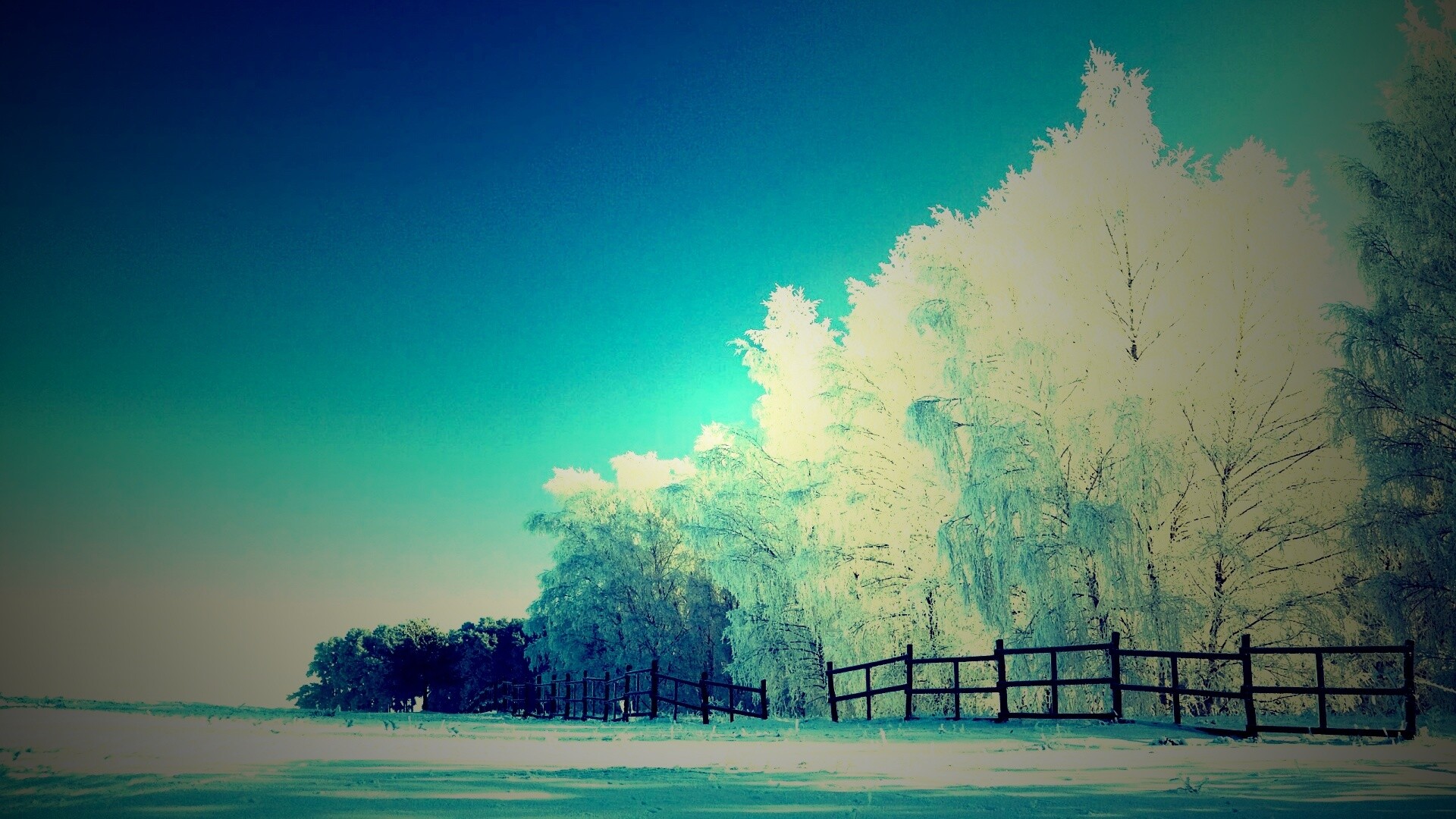 Зимний лес обои