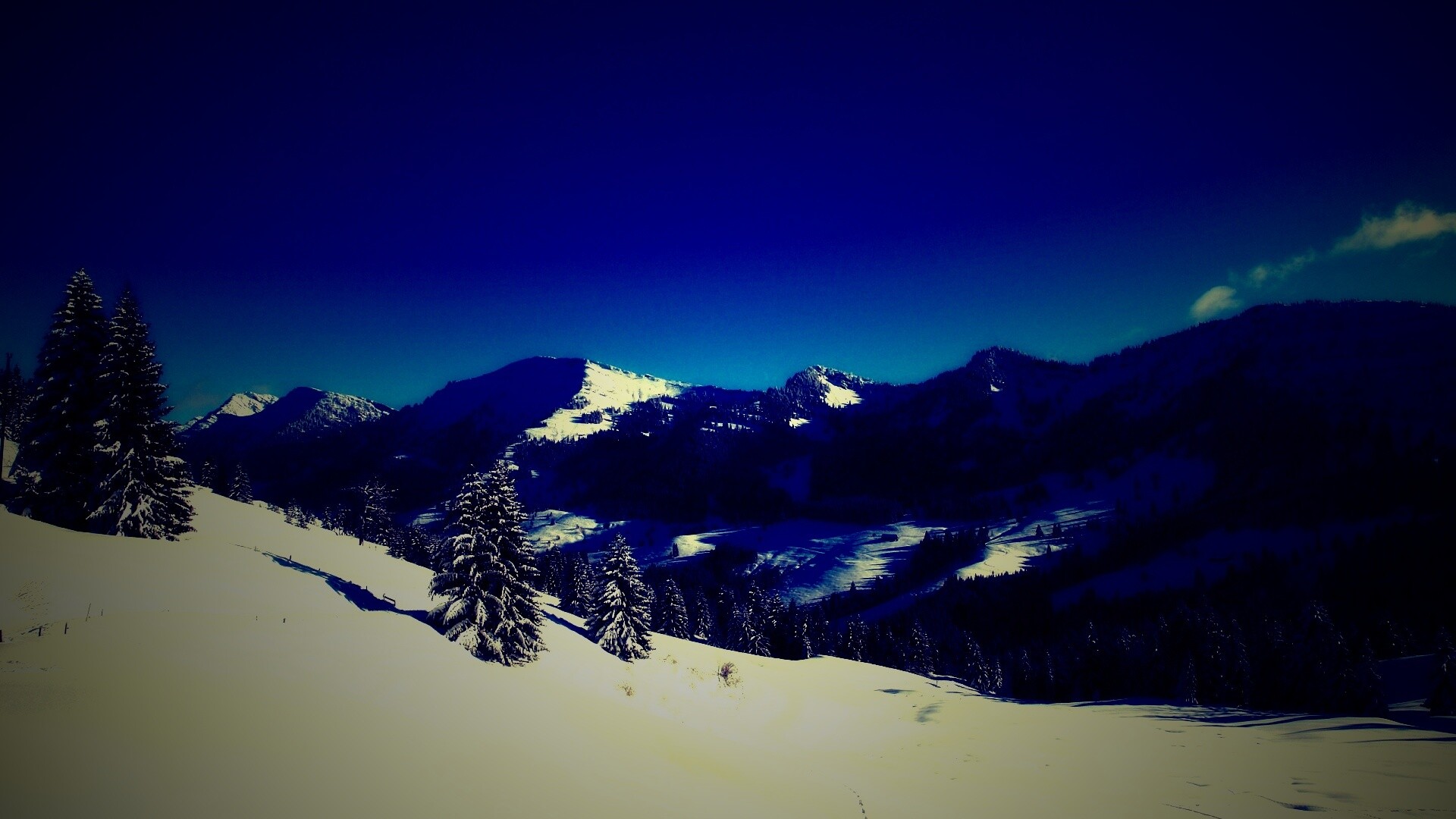 Лес в горах обои