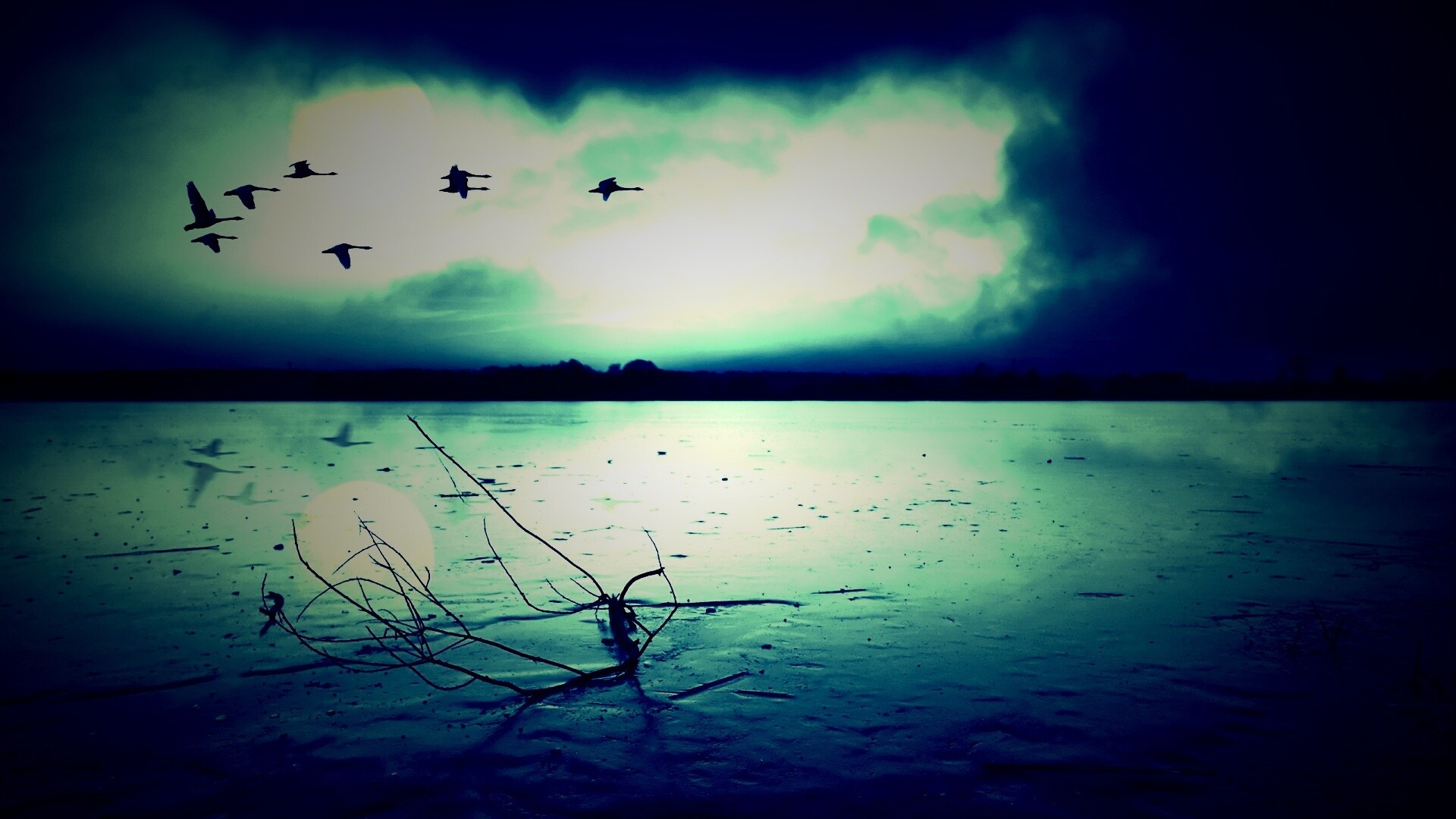 Полет птиц над озером обои