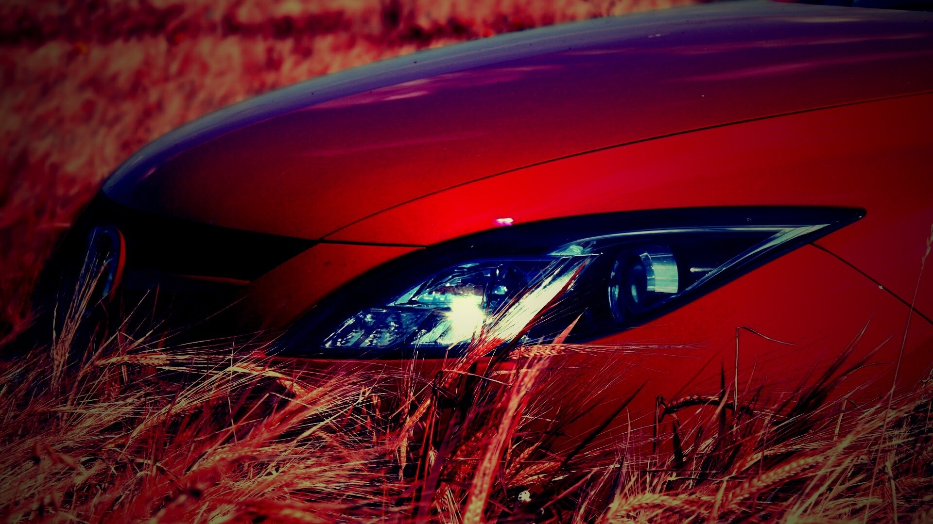 Мазда в пшенице обои