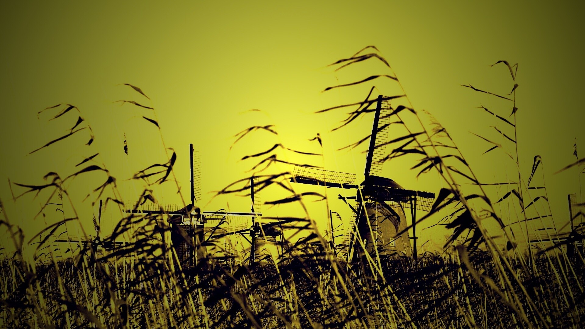 Мельницы обои