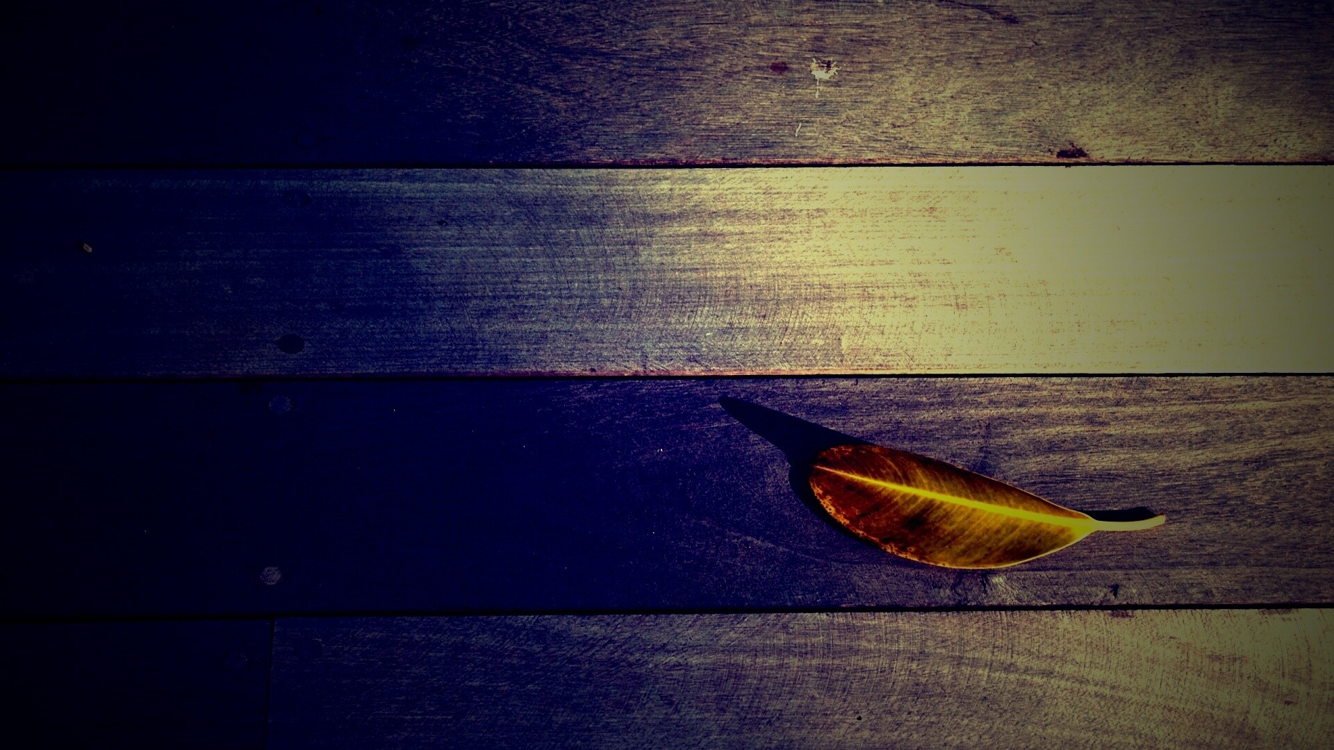 Лист на деревянном полу обои