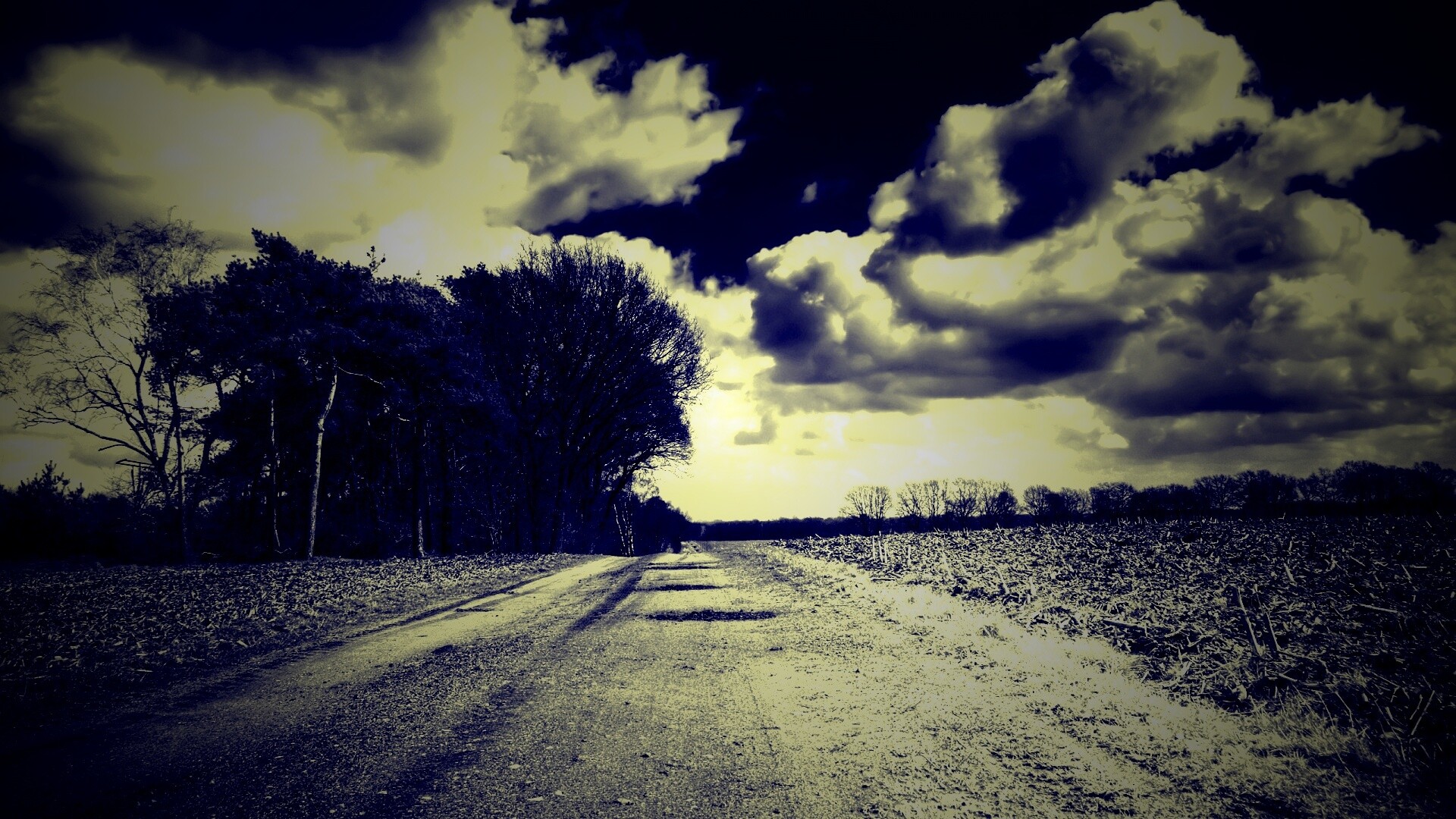 Дорога через поле обои