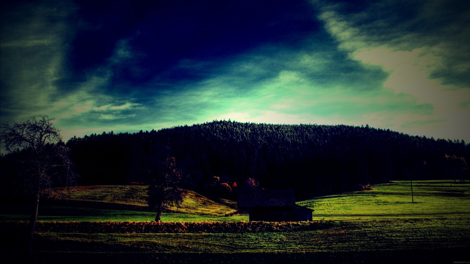 Домик в поле обои