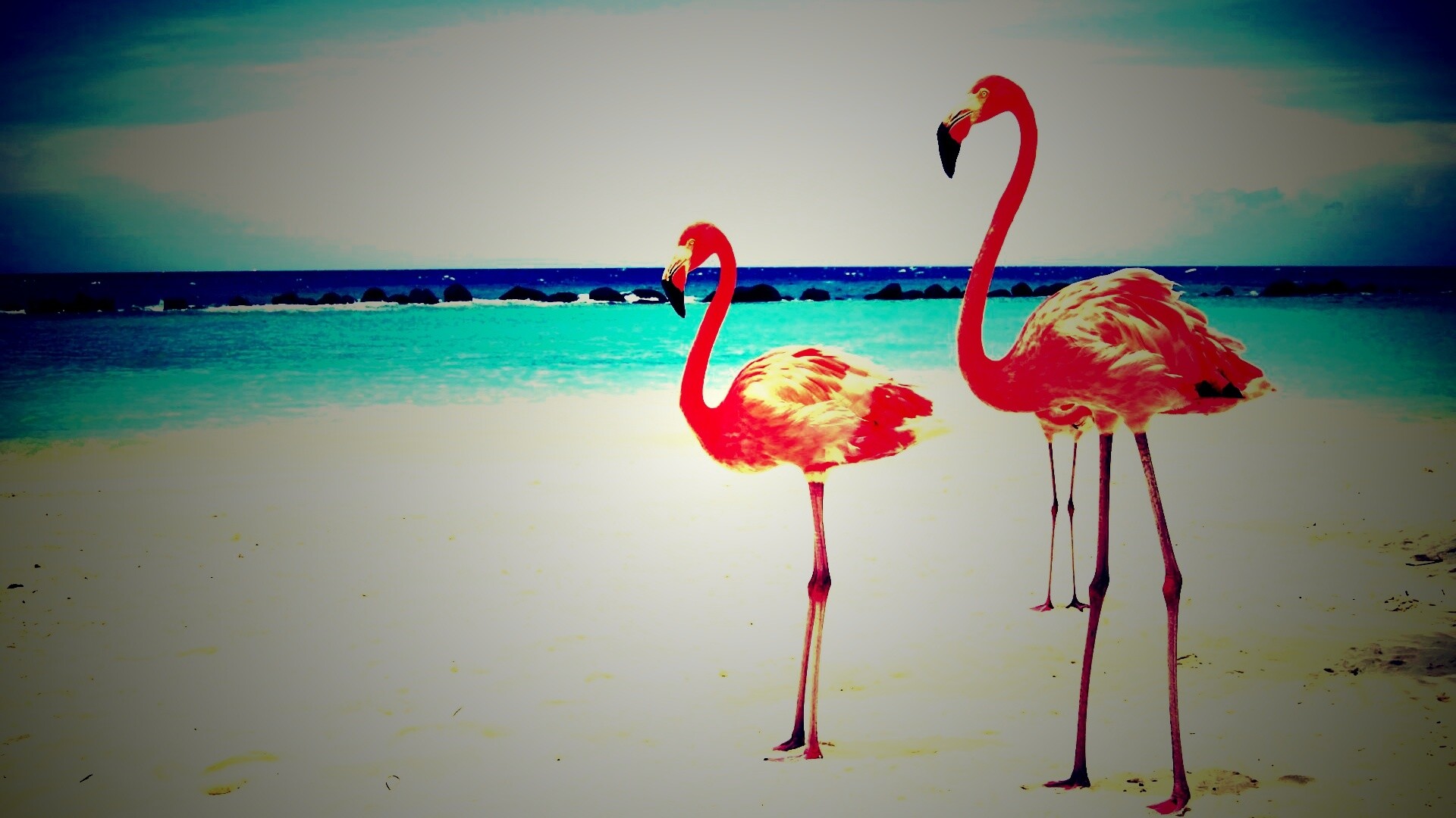 Розовые фламинго на пляже обои