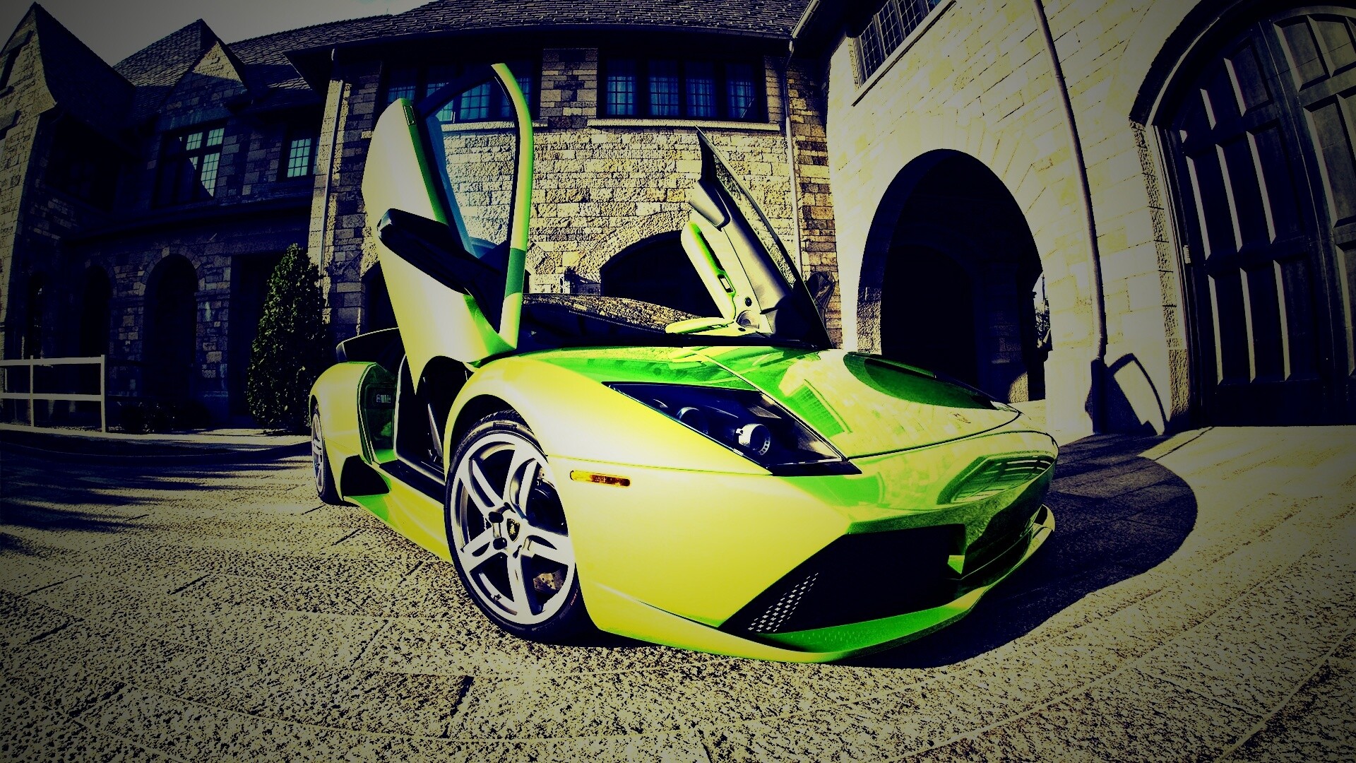 Зеленая ламба обои