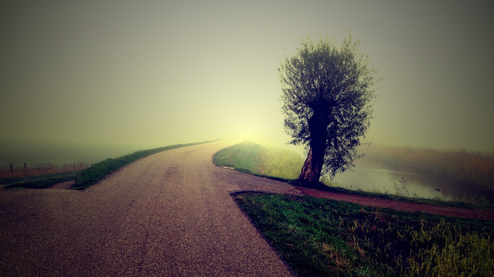 Дорога растворяется в тумане обои