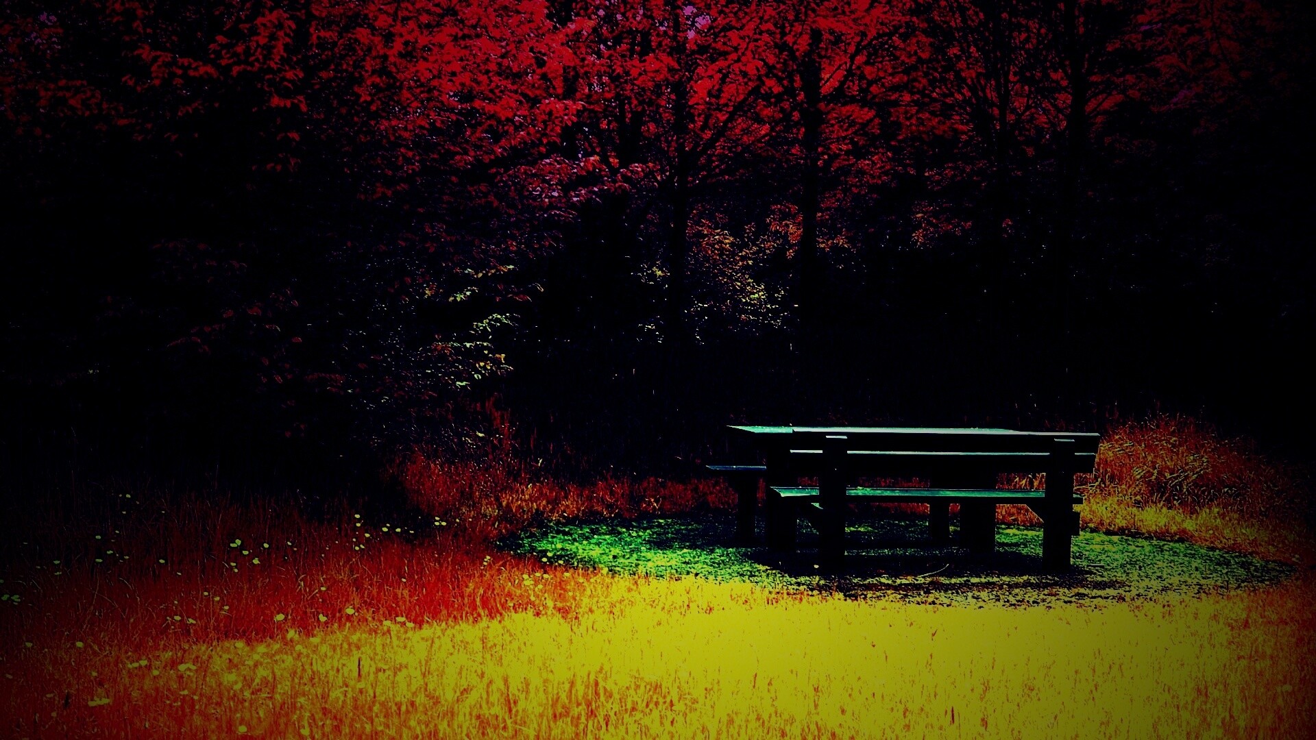 Осенние краски обои