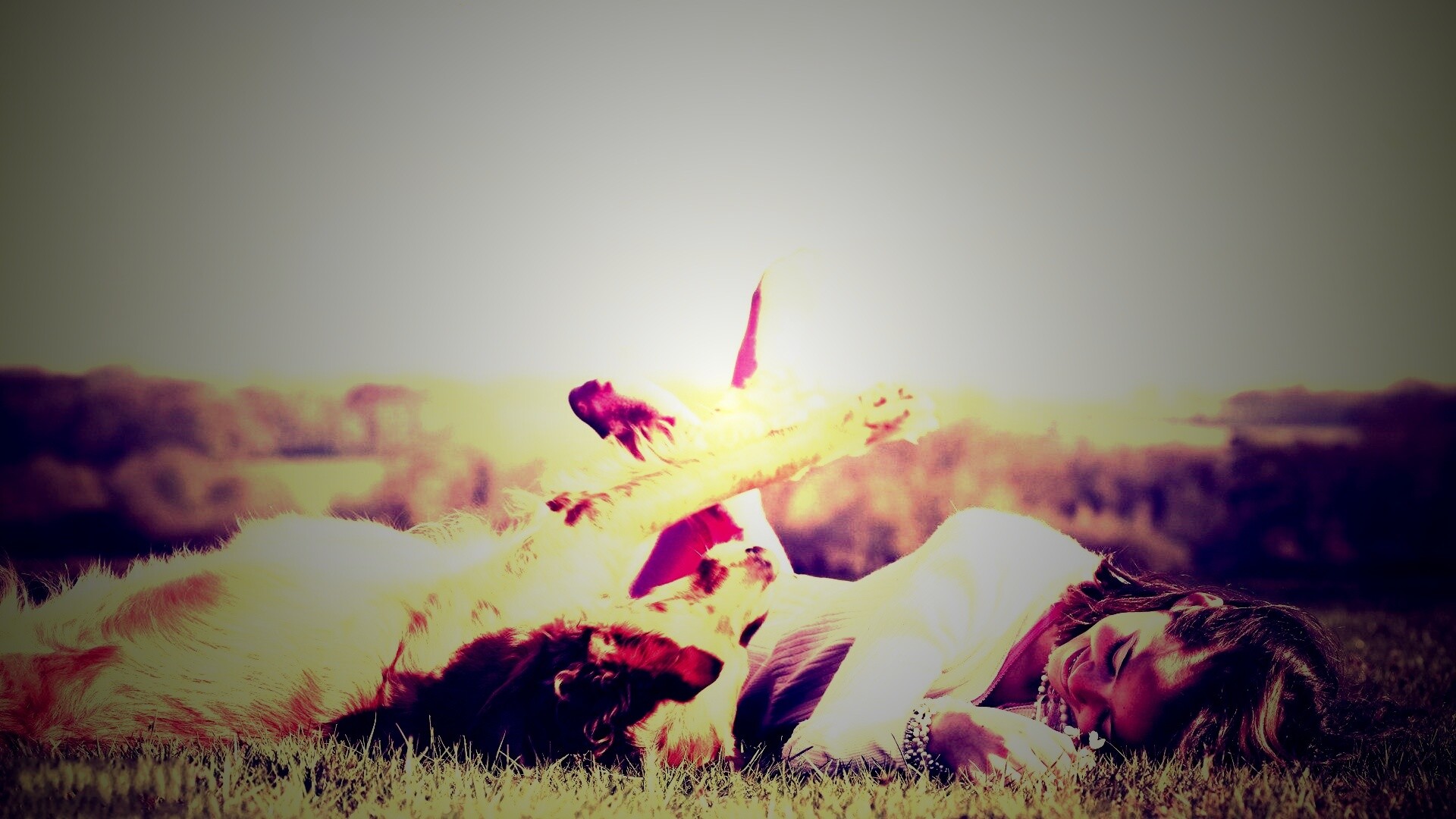 Девушка и собака валяются на траве обои