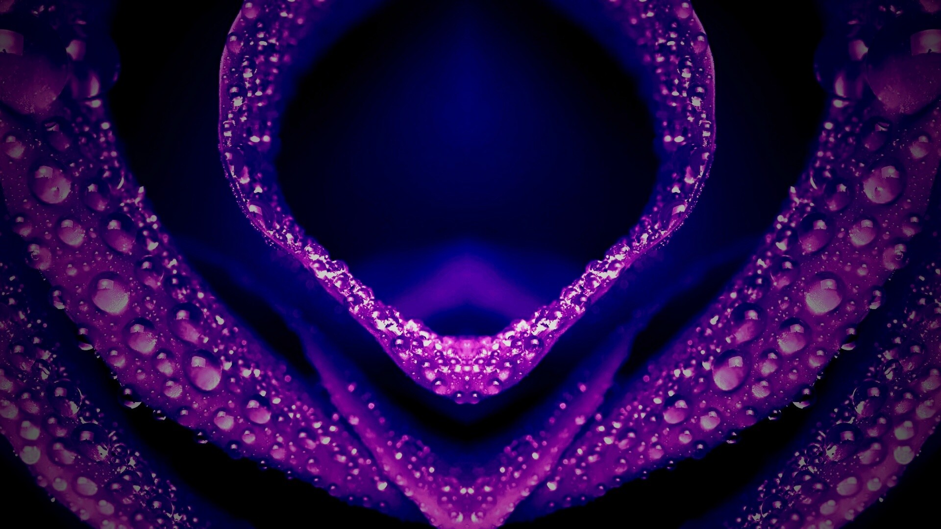 Цветочный зев обои