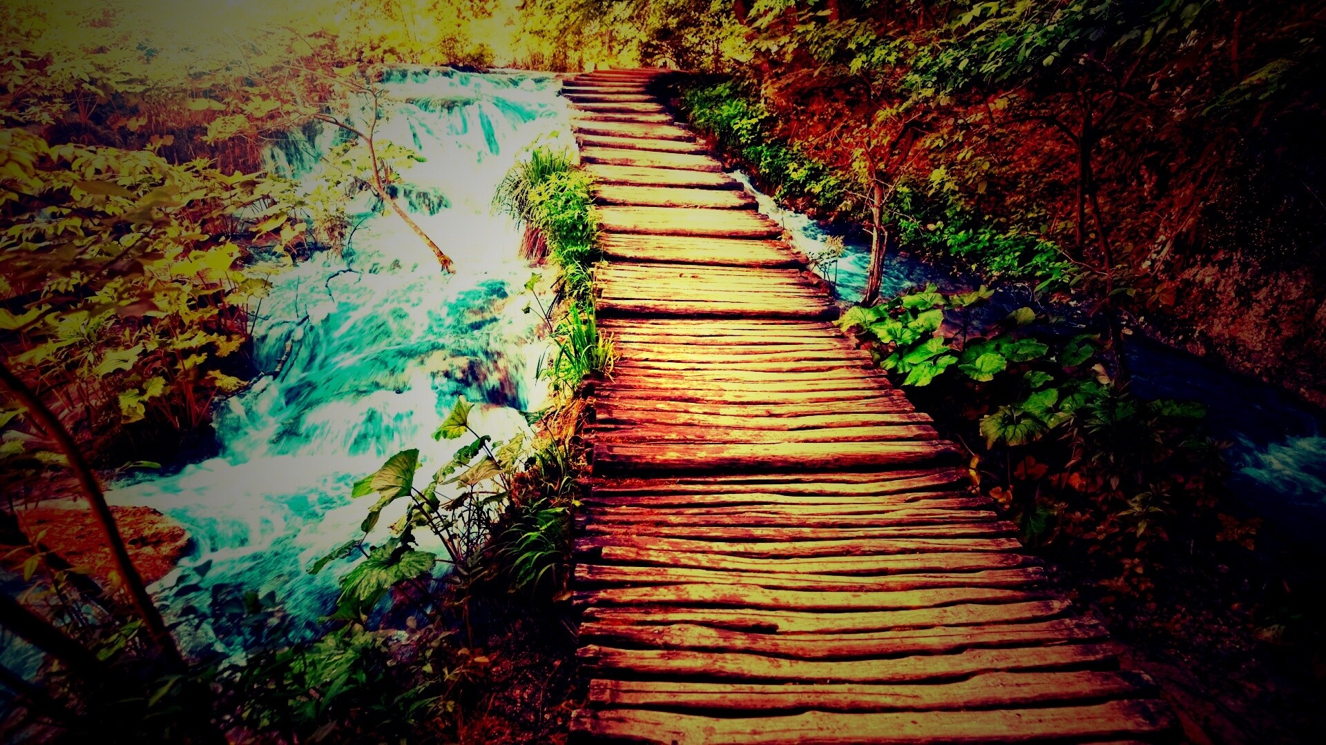 Деревянная дорожка над ручьем обои