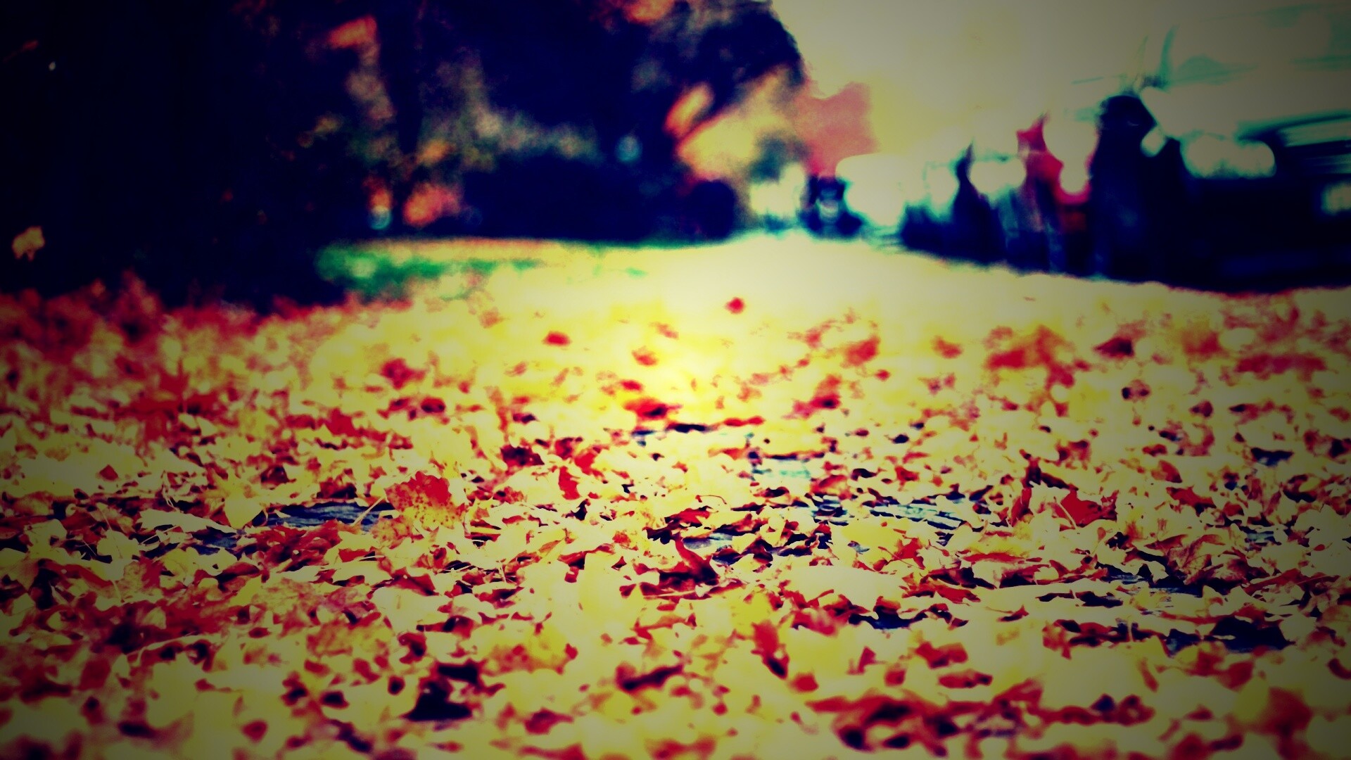 Осенние листья обои