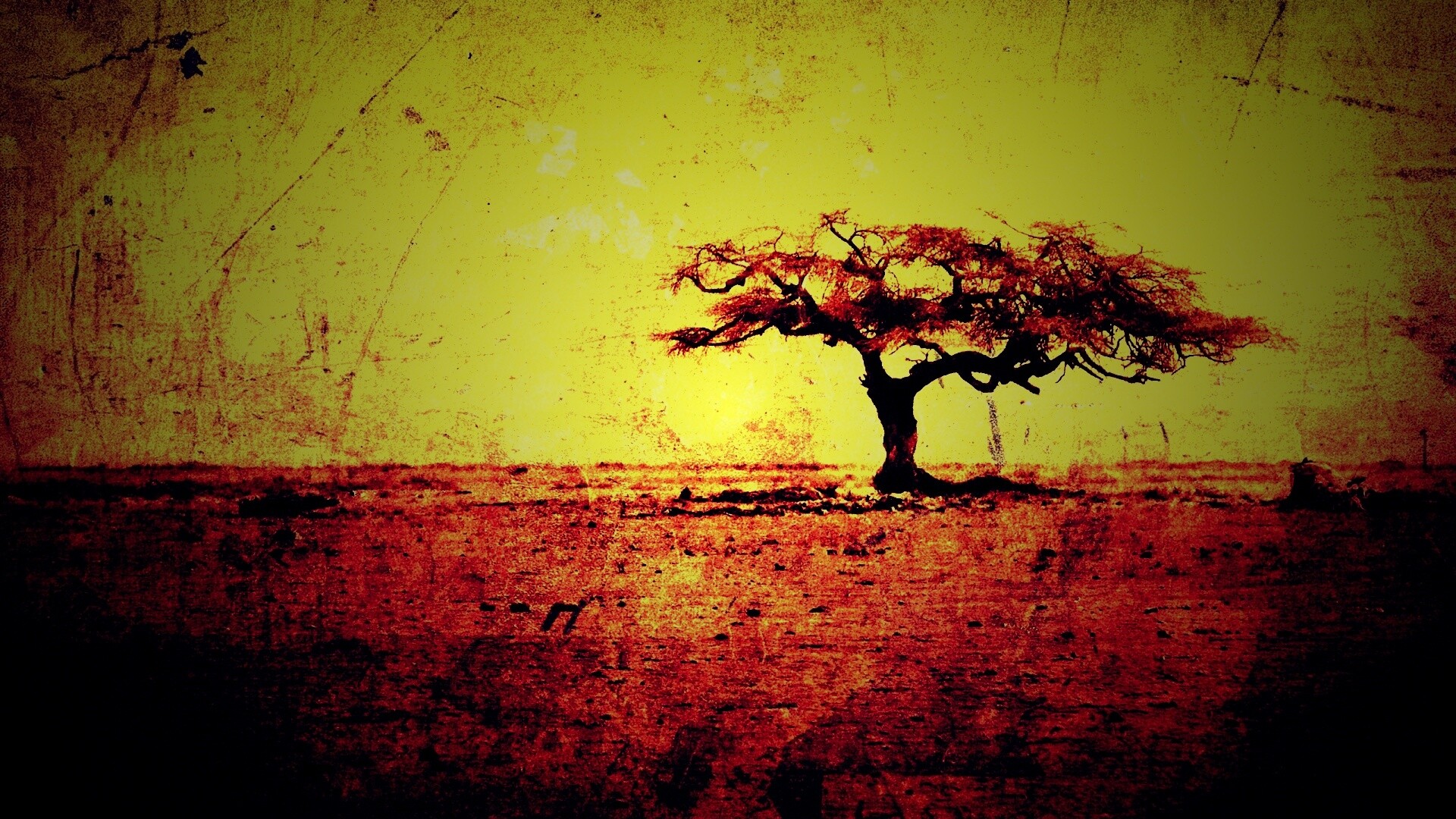 Гранжевое дерево в саванне обои