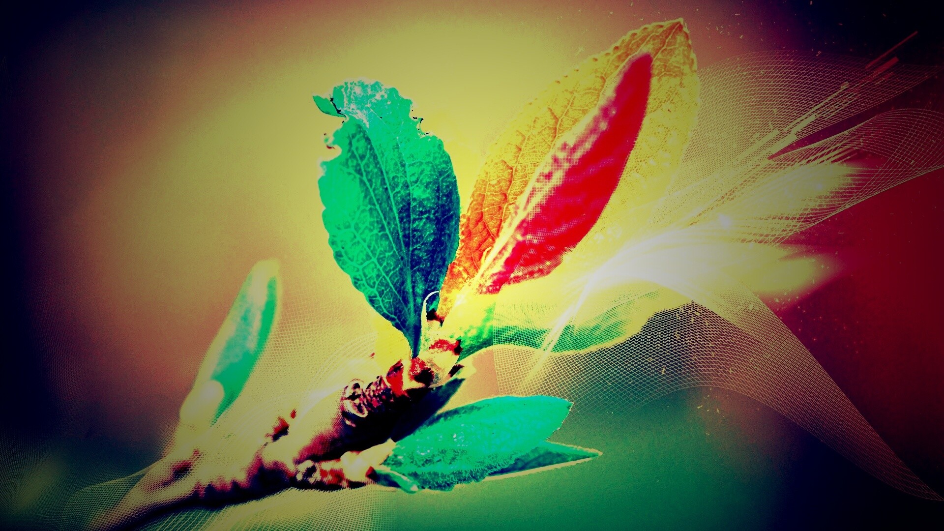 Разноцветные листья обои