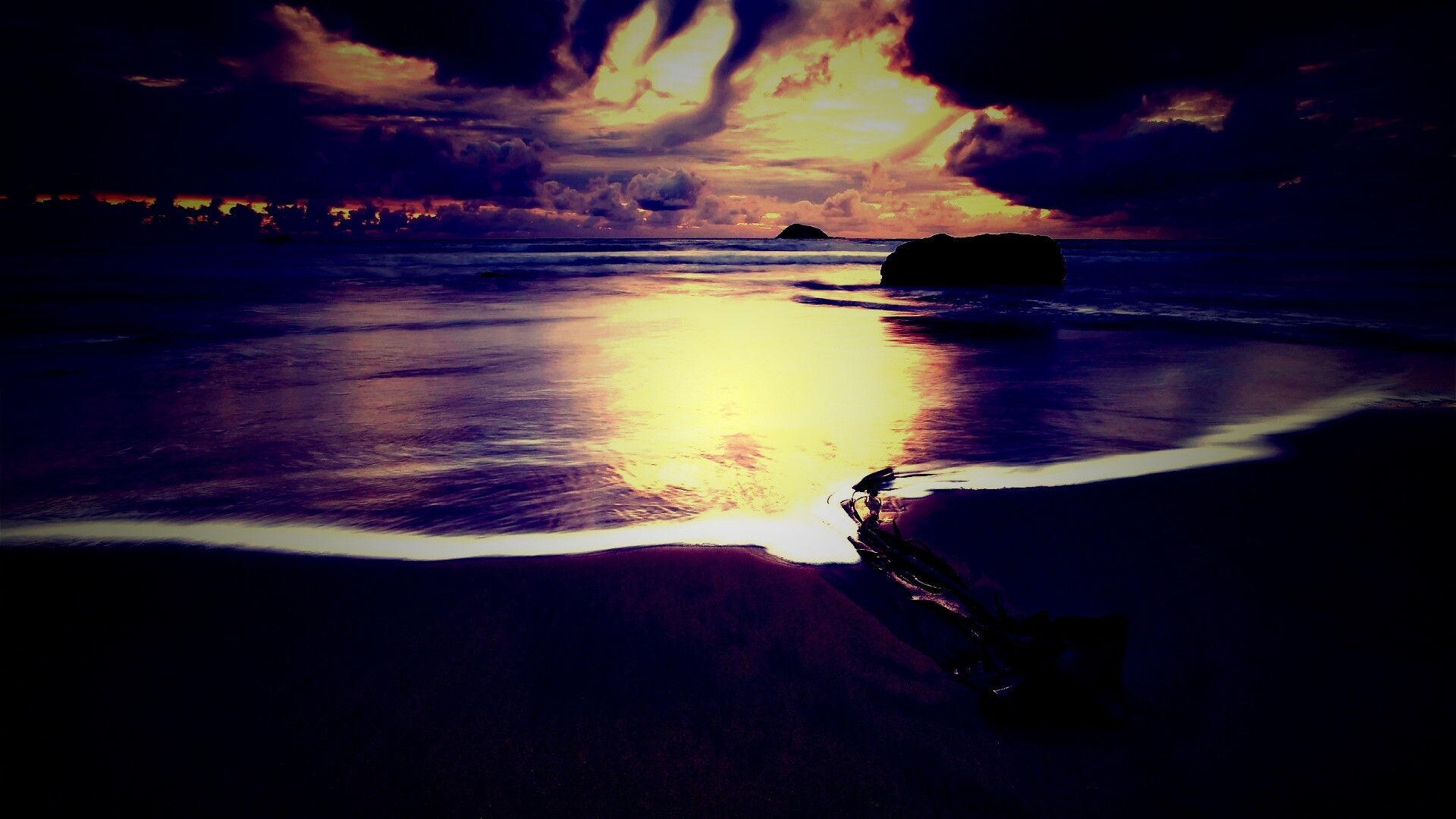 Коряга на пляже обои