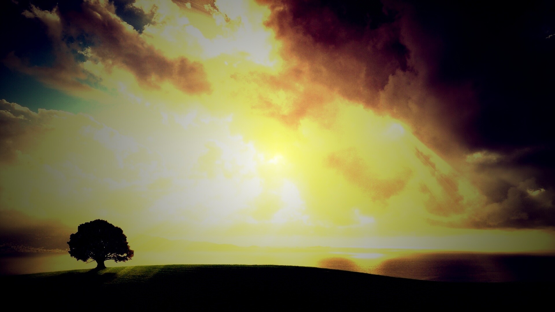 Холм и дерево обои