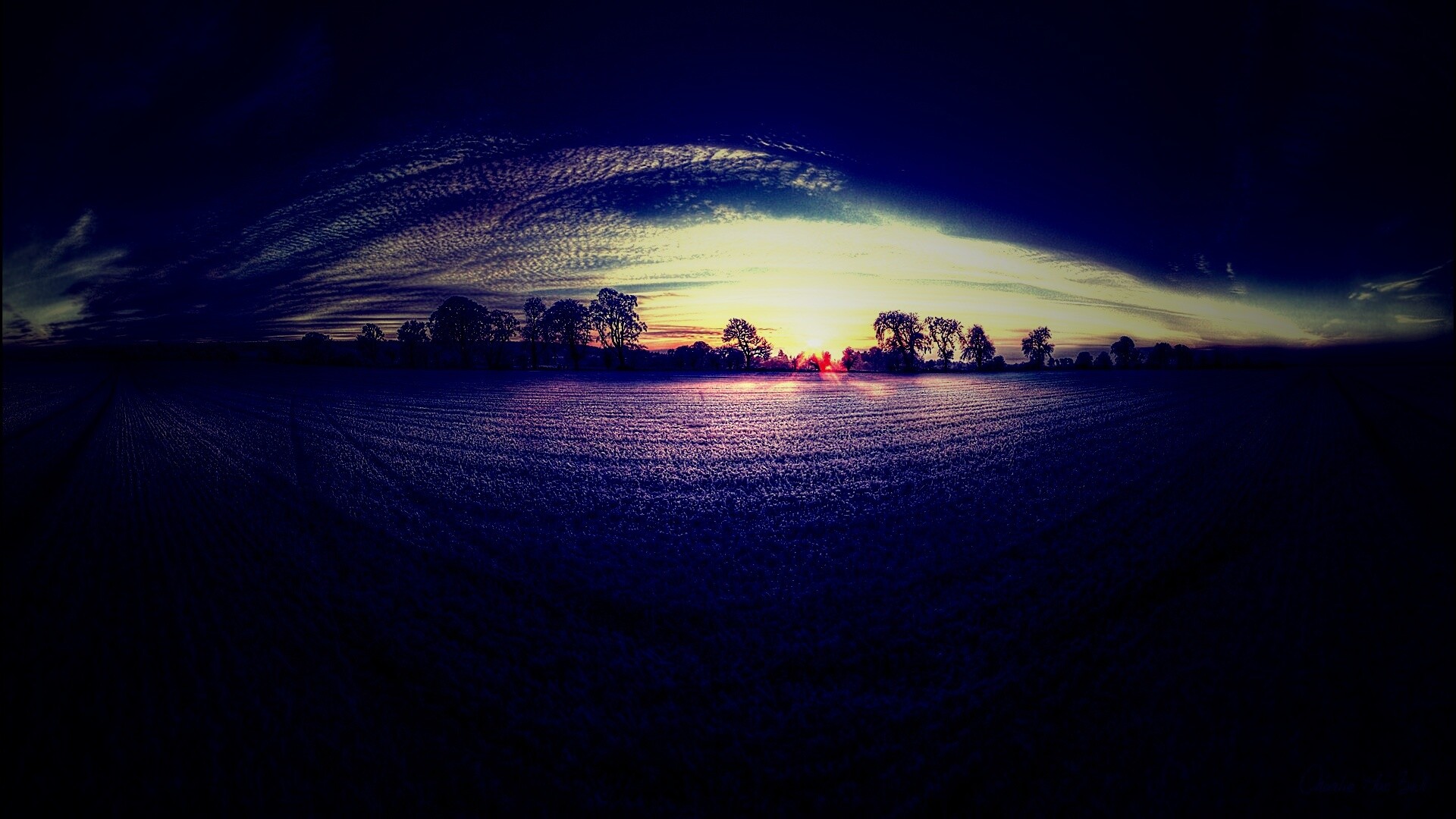 Поле широкоугольным объективом обои